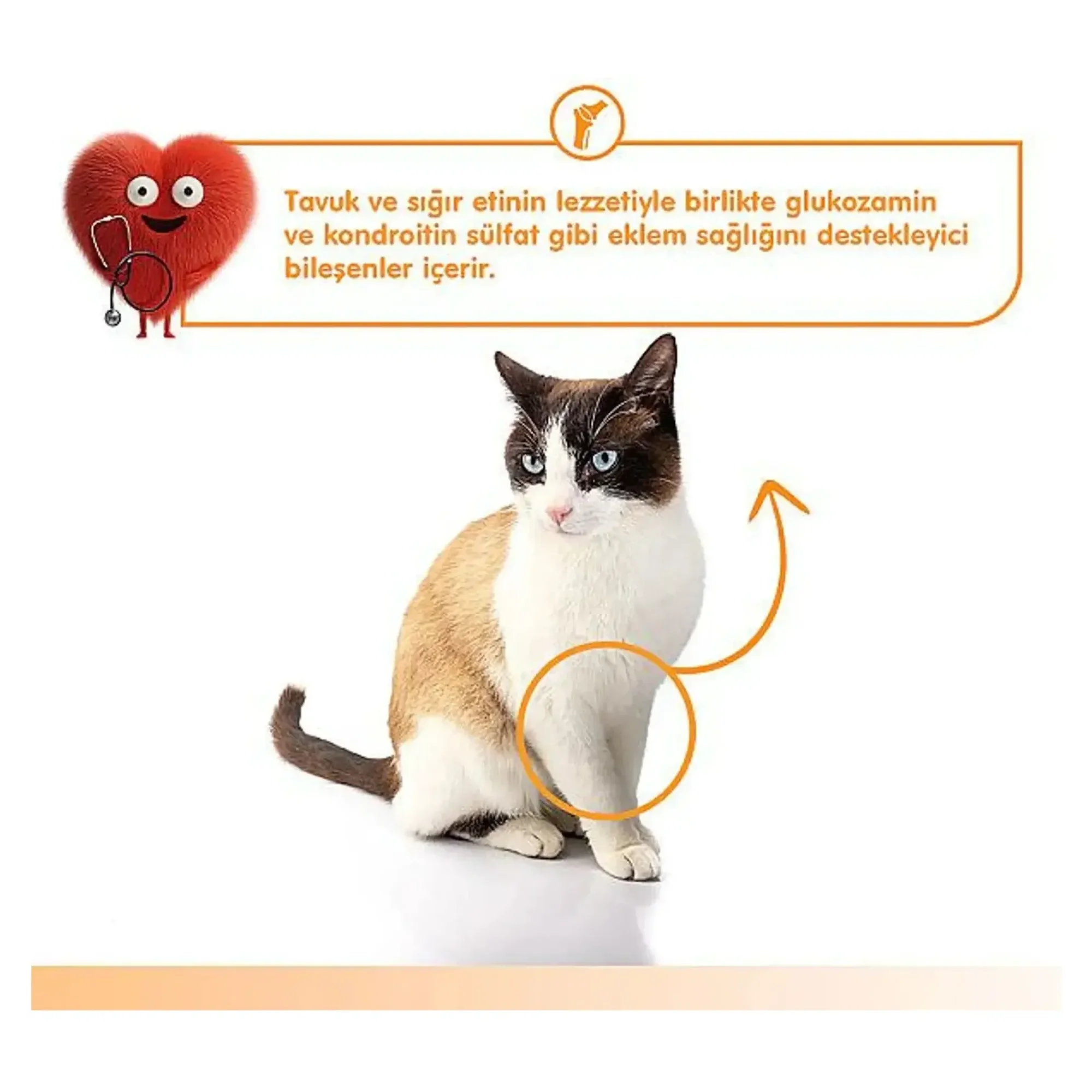 Wanpy Wanpy Bone Support Sığır Eti&Tavuklu Kedi Ödülü 5x14 G — Ödül Maması — Görsel 4
