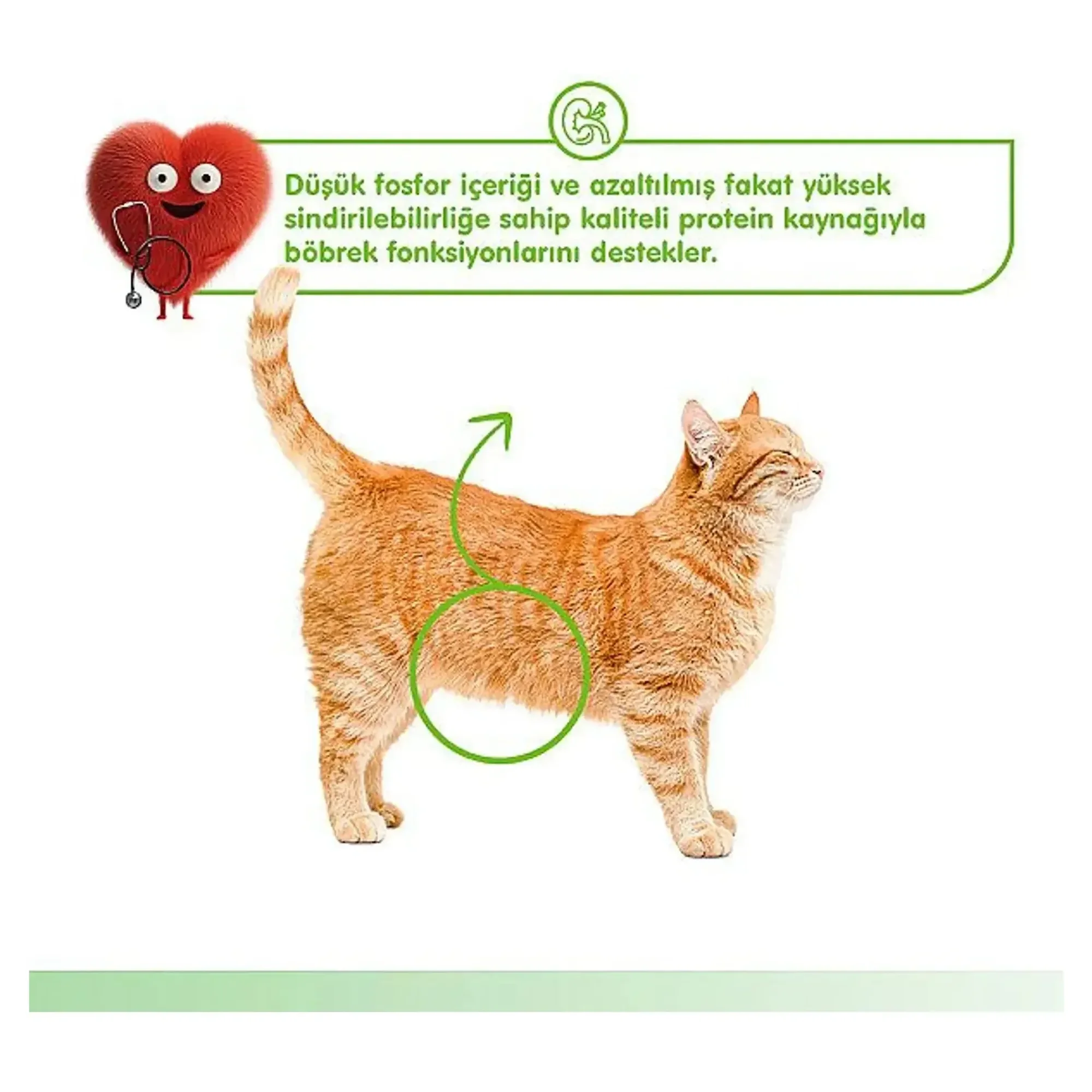 Wanpy Wanpy Kidney Health Tavuk&Sebzeli Kedi Ödülü 5x14 G — Ödül Maması — Görsel 4