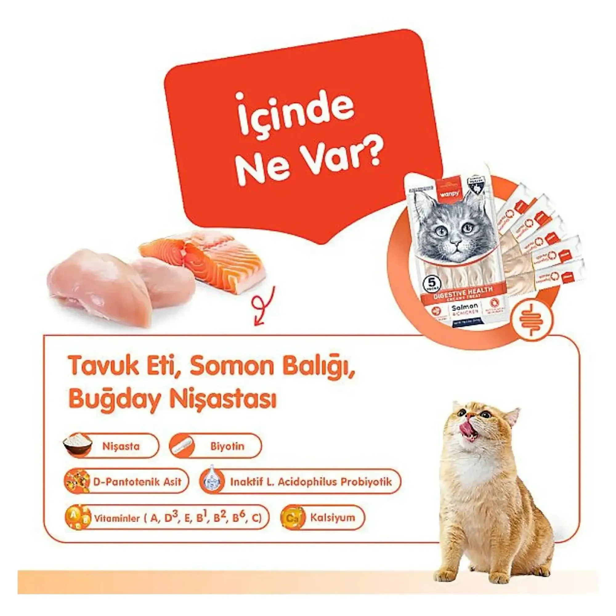 Wanpy Wanpy Digestive Health Somon Balığı&Tavuklu Kedi Ödülü 5x14 G — Ödül Maması — Görsel 2