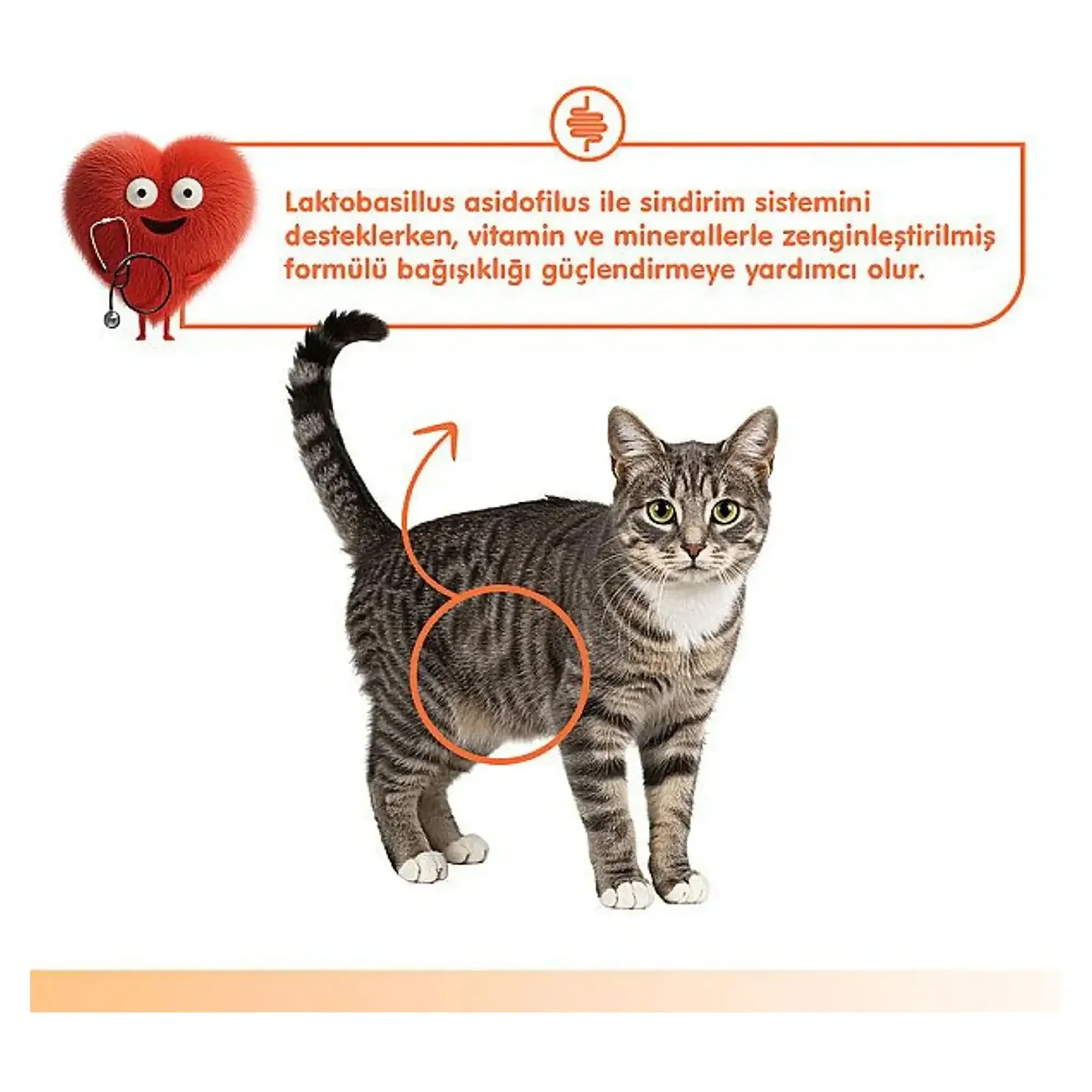 Wanpy Wanpy Digestive Health Somon Balığı&Tavuklu Kedi Ödülü 5x14 G — Ödül Maması — Görsel 4