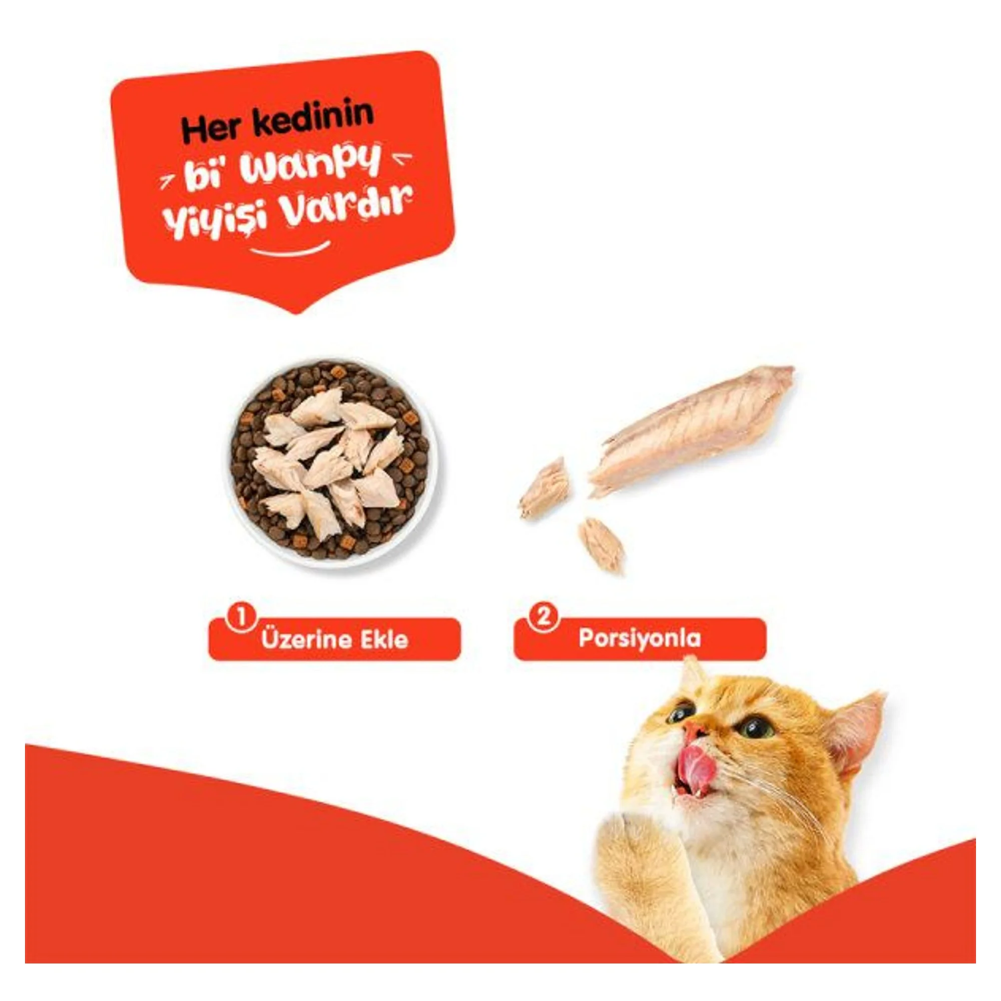 Wanpy Uskumru Fileto Kedi Ödülü 25G — Ödül Maması, 40 g — Görsel 3