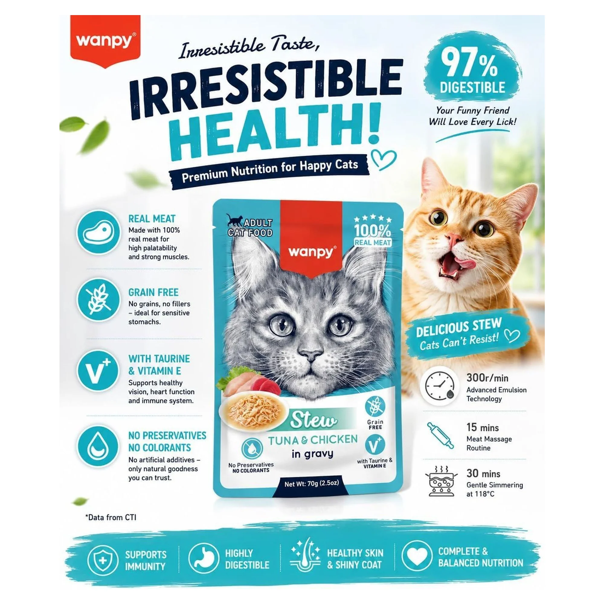 Wanpy Pouch Ton Balık&Tavuklu Yaş Yetişkin Kedi Maması 70 G — Normal, 70 g — Görsel 3