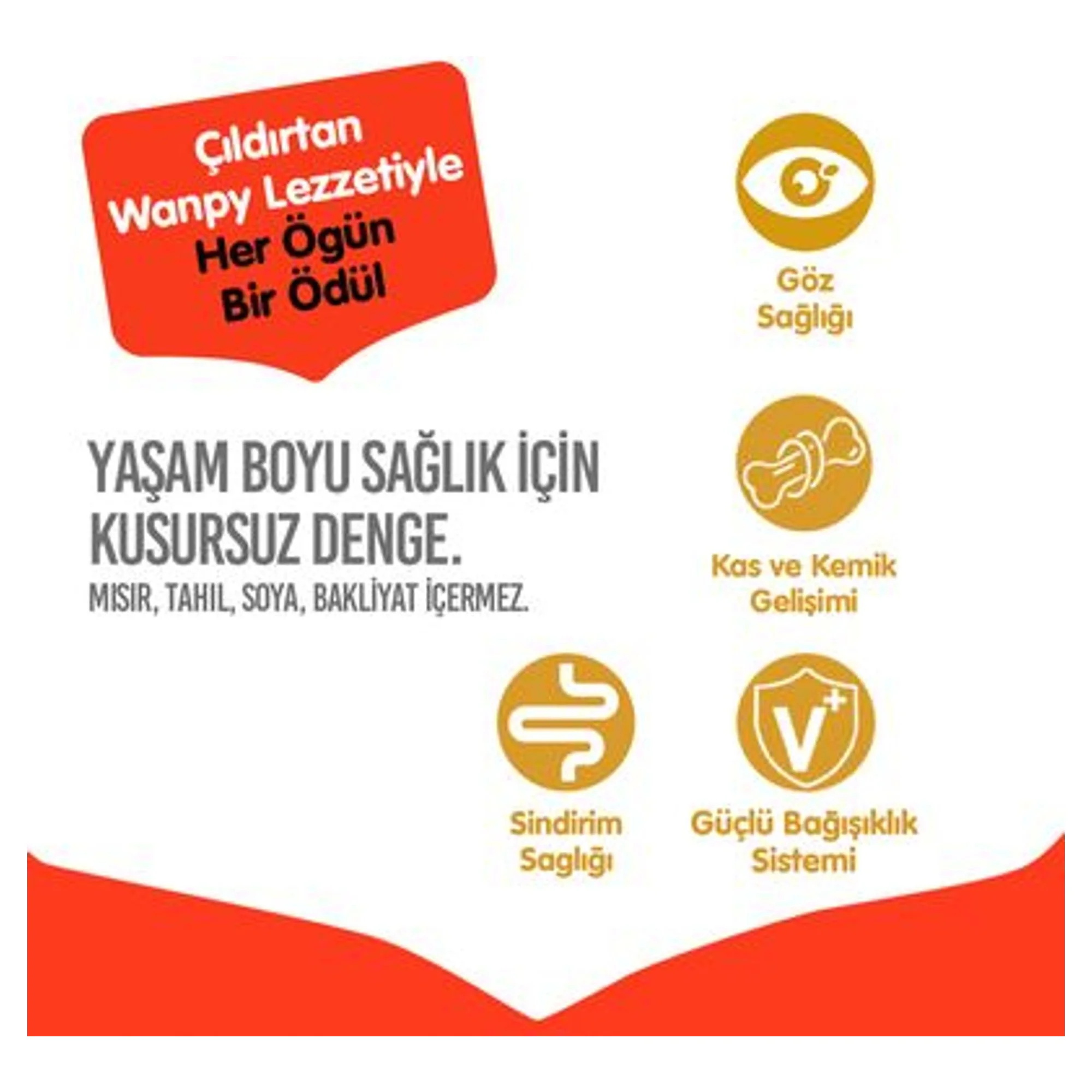 Wanpy Wanpy Tahılsız Tavuklu Yavru Kedi Maması 1.5 KG — Normal, 1.5 kg — Görsel 4