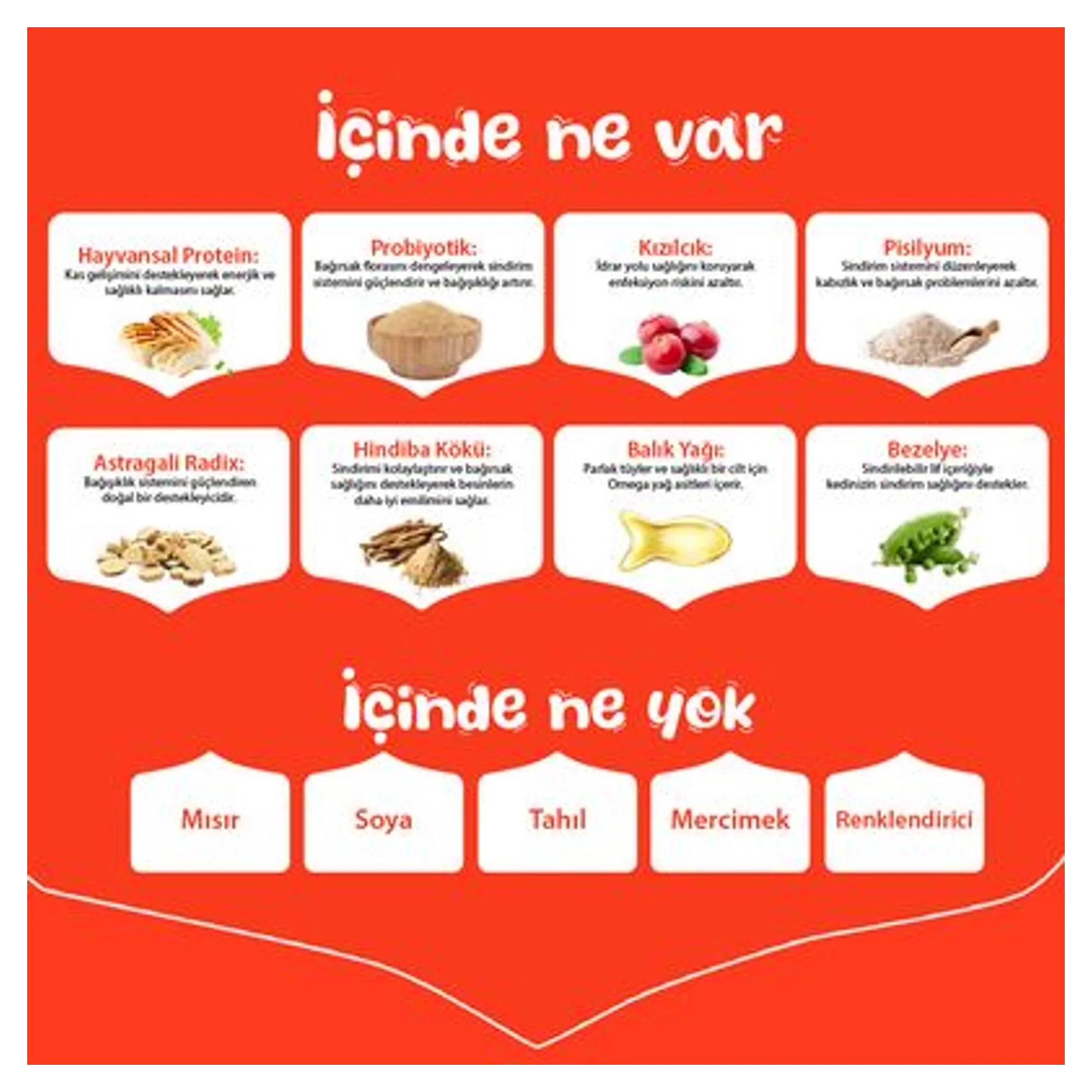 Wanpy Wanpy Tahılsız Tavuklu Yavru Kedi Maması 1.5 KG — Normal, 1.5 kg — Görsel 5