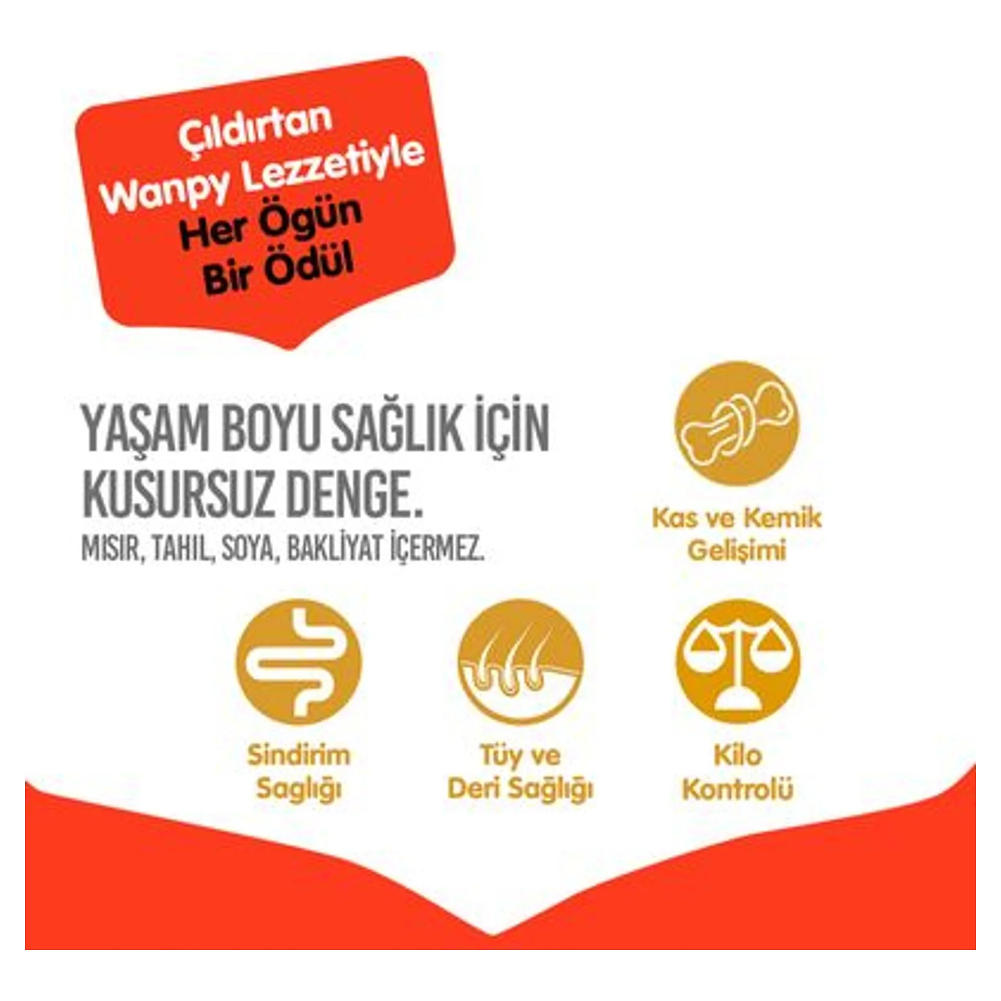 Wanpy Tahılsız Sığır Etli Yetişkin Köpek Maması 1.5 KG — Normal, 1.5 kg — Görsel 3