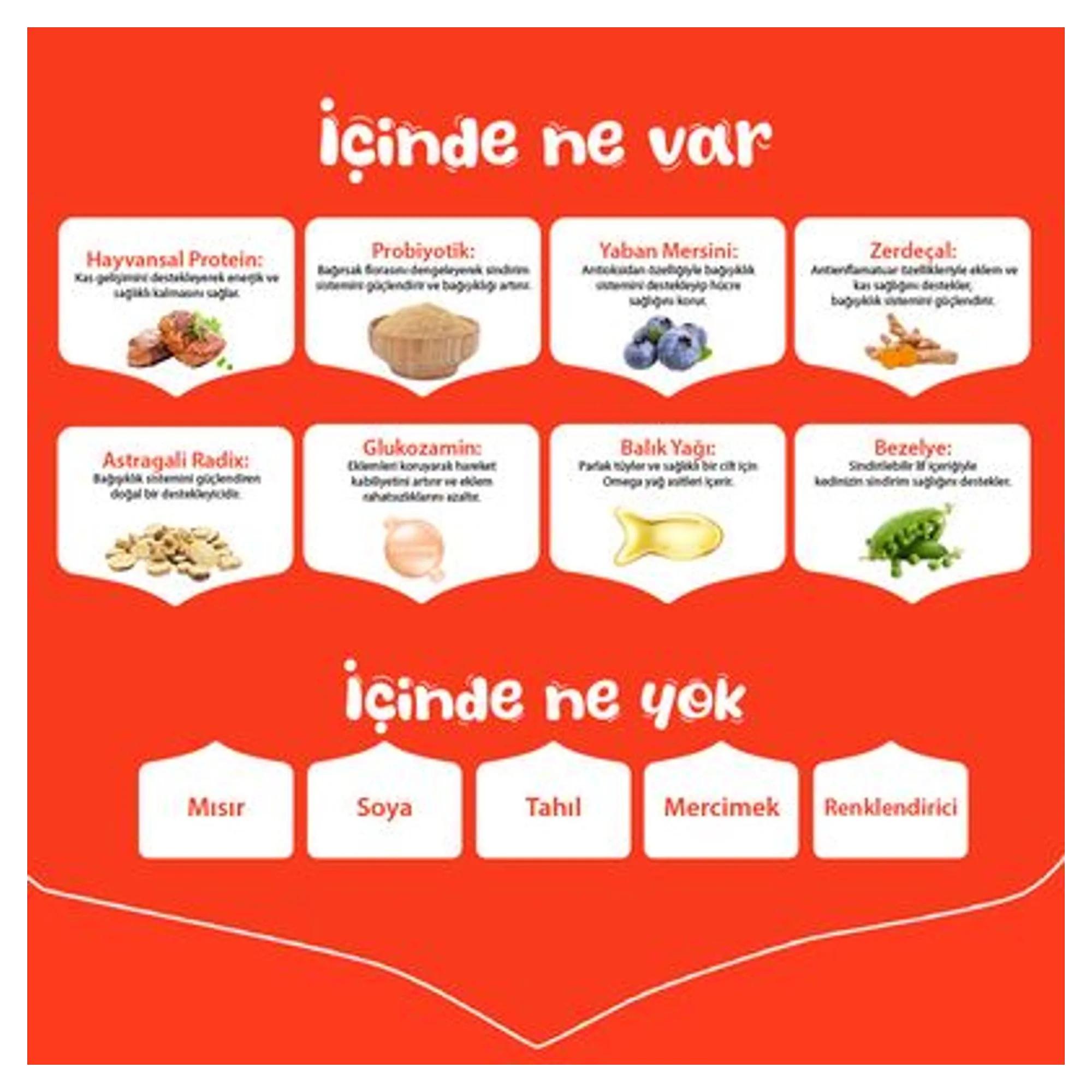 Wanpy Tahılsız Sığır Etli Yetişkin Köpek Maması 1.5 KG — Normal, 1.5 kg — Görsel 4