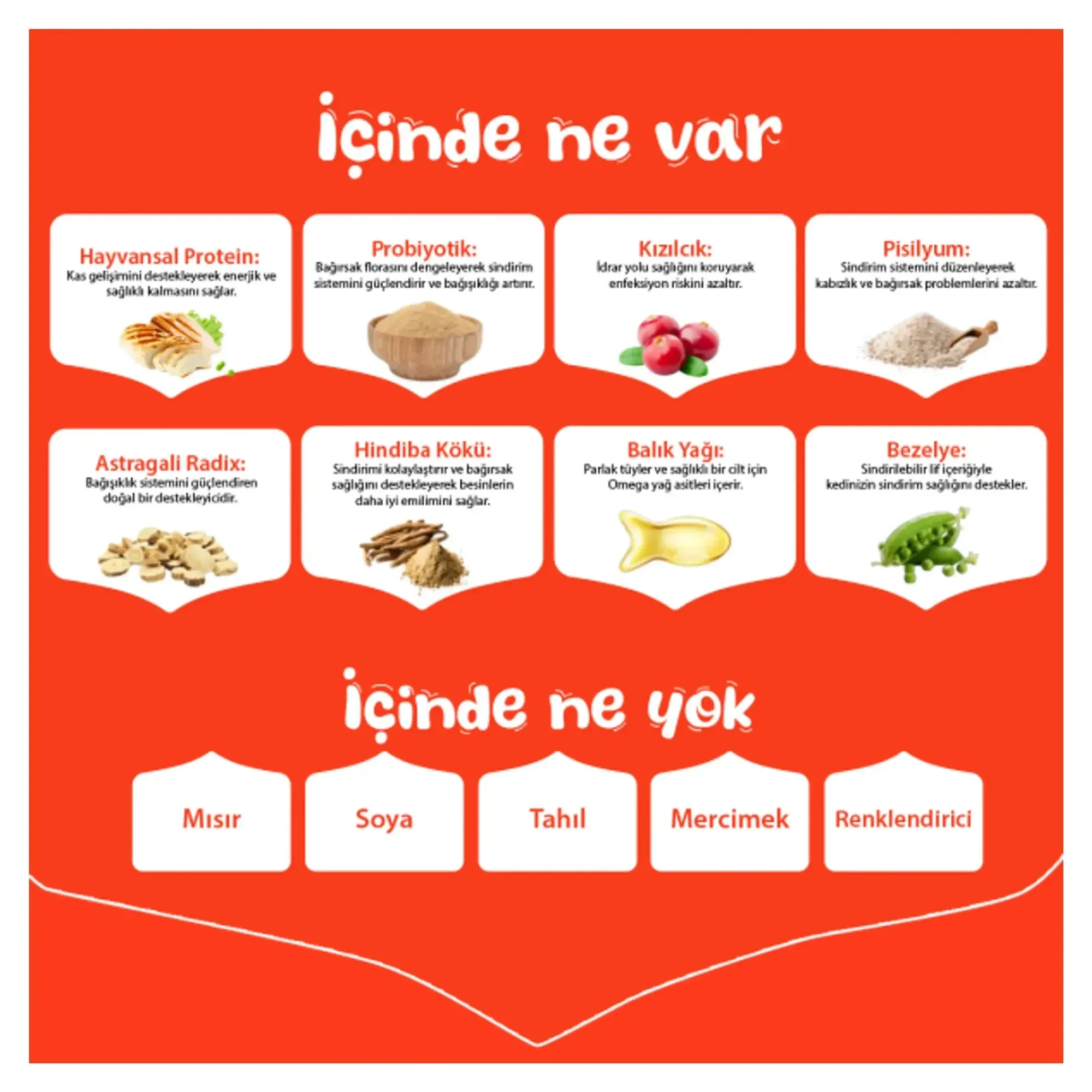 Wanpy Tahılsız Tavuklu Yavru Kedi Maması 8 KG — Normal, 8.1 kg — Görsel 3