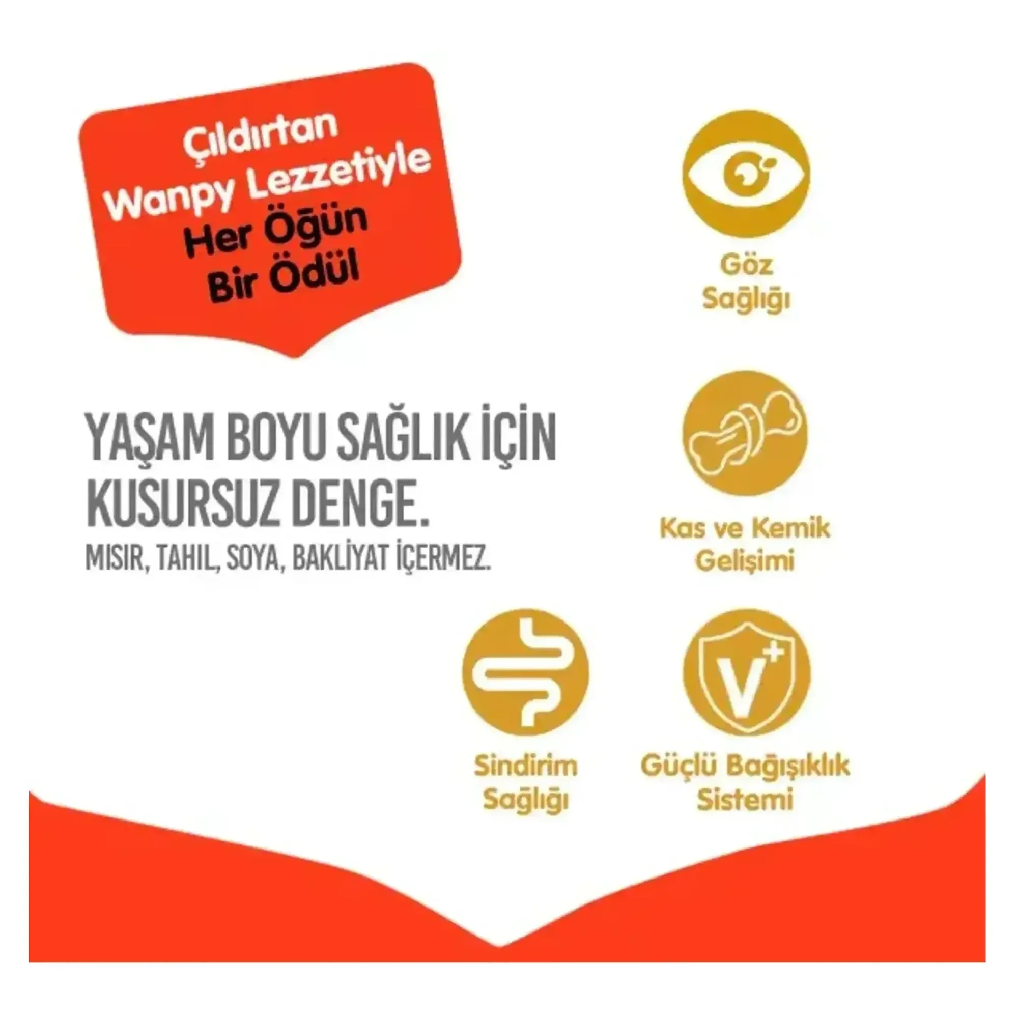 Wanpy Tahılsız Tavuklu Yavru Kedi Maması 8 KG — Normal, 8.1 kg — Görsel 4