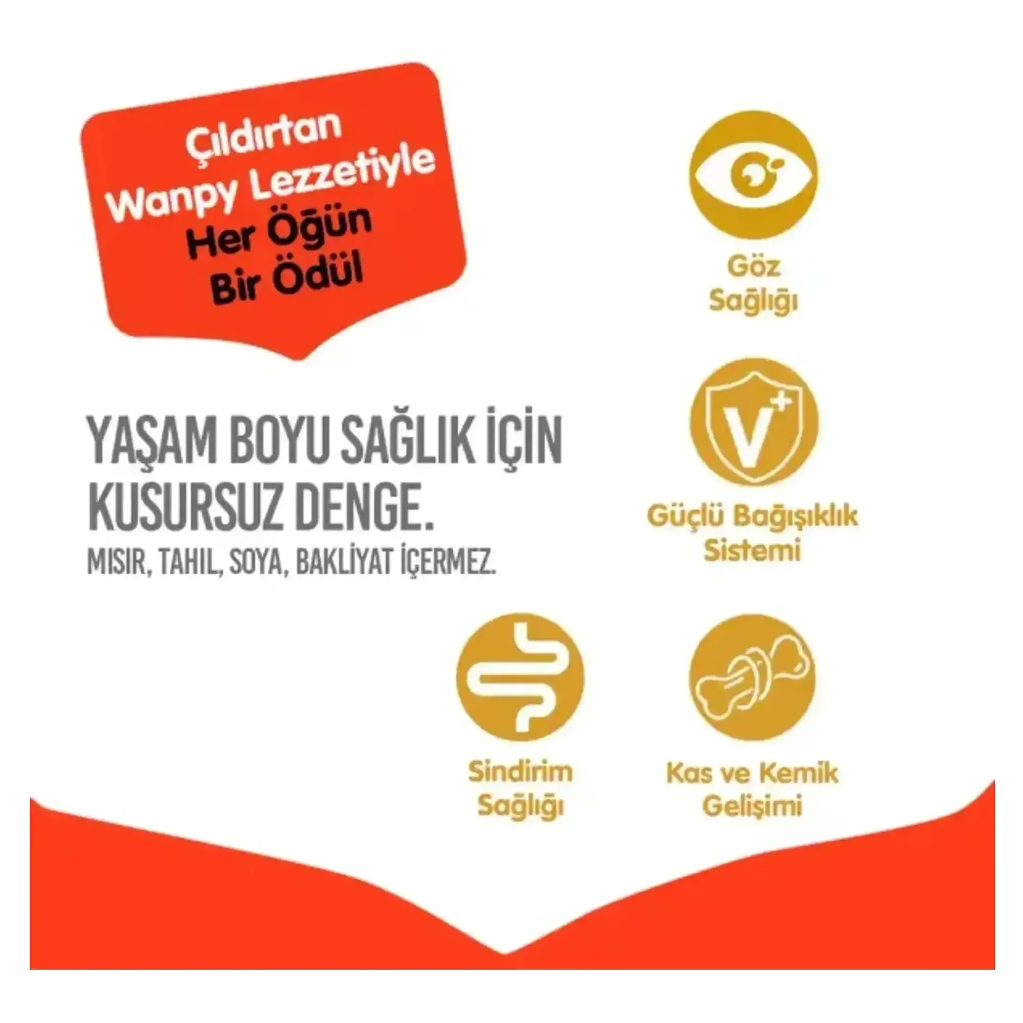 Wanpy Wanpy Tahılsız Tavuklu Yetişkin Kedi Maması 8 KG — Normal — Görsel 4