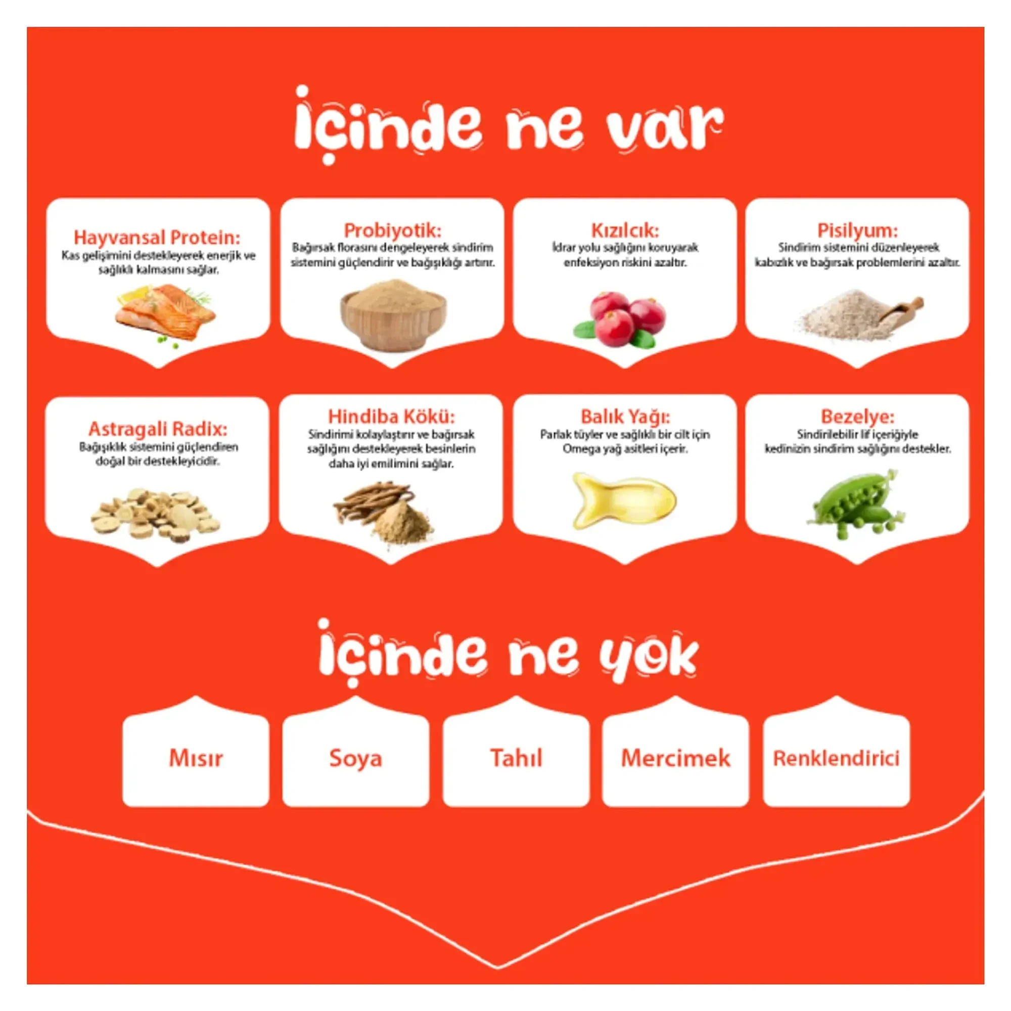 Wanpy Tahılsız Somonlu Yetişkin Kedi Maması 8 kg — Normal, 8.1 kg — Görsel 3