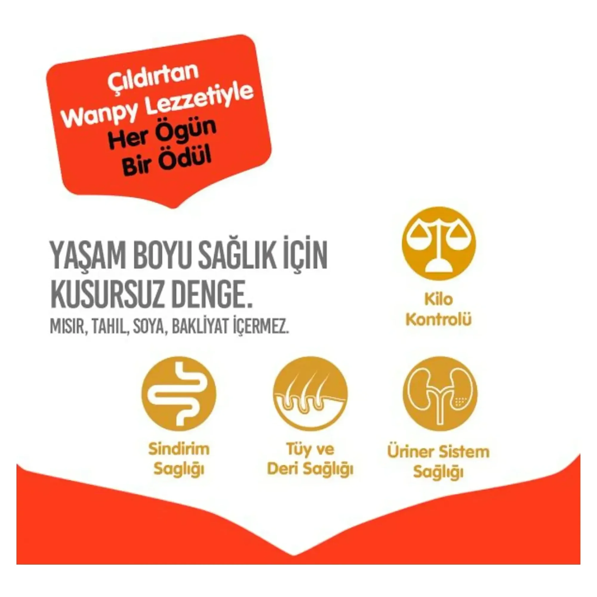 Wanpy Tahılsız Somonlu Yetişkin Kedi Maması 8 kg — Normal, 8.1 kg — Görsel 4