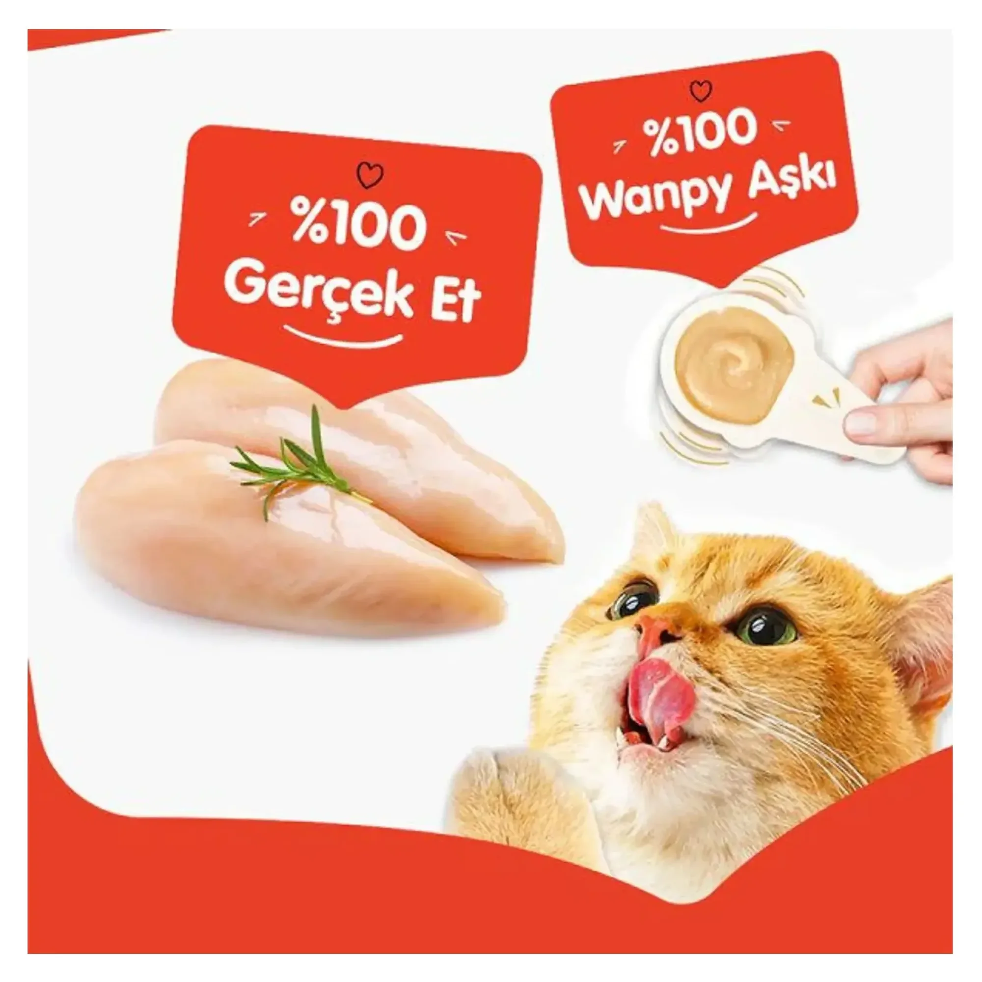 Wanpy Tahılsız Ördekli Yetişkin Köpek Maması 12 KG — Normal, 12.1 kg — Görsel 3
