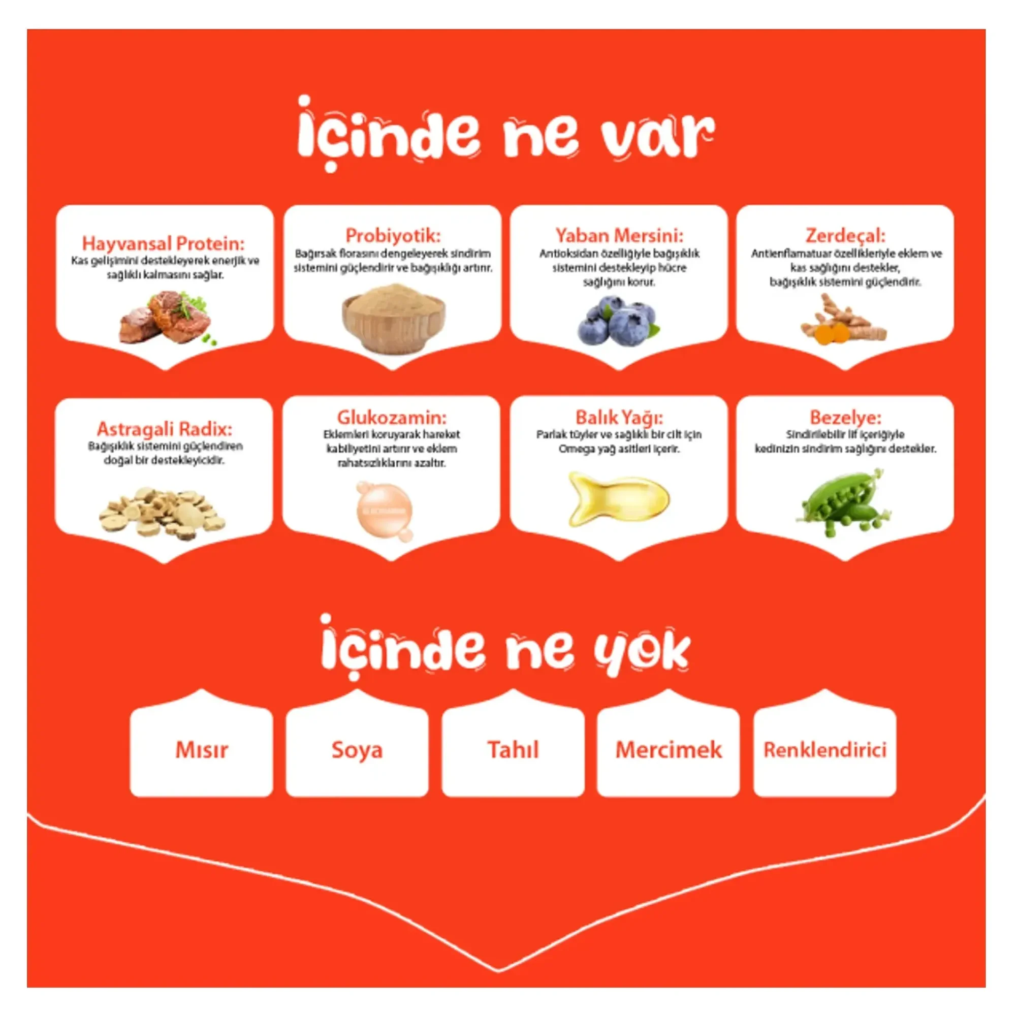 Wanpy Tahılsız Sığır Etli Yetişkin Köpek Maması 12 KG — Normal, 12.1 kg — Görsel 3
