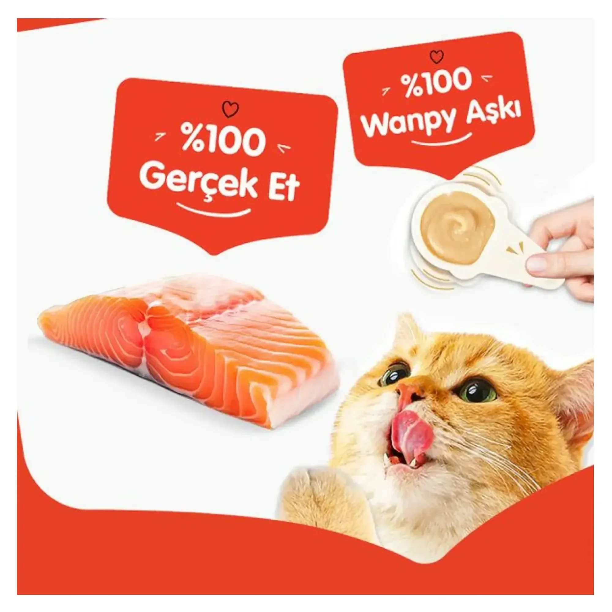 Wanpy Wanpy Somonlu Kaşıklı Kedi Ödül Kreması 10x16 G — 200 g — Görsel 3