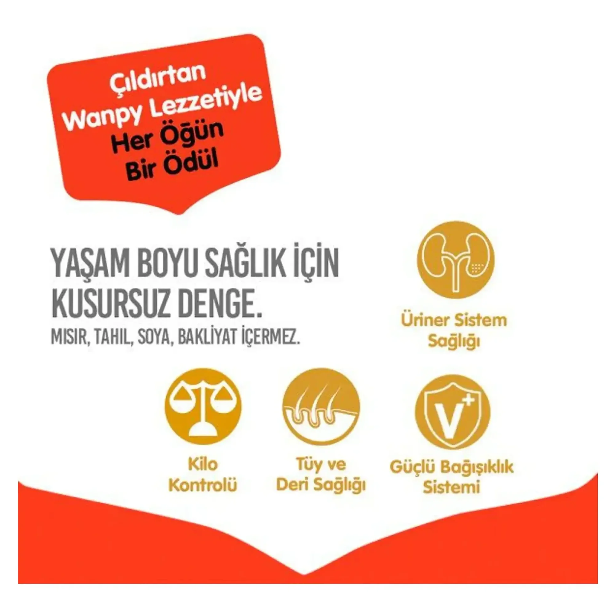 Wanpy Wanpy Tahılsız Somon&Tuna Kısırlaştırılmış Kedi Maması 1,5 KG — Normal — Görsel 4