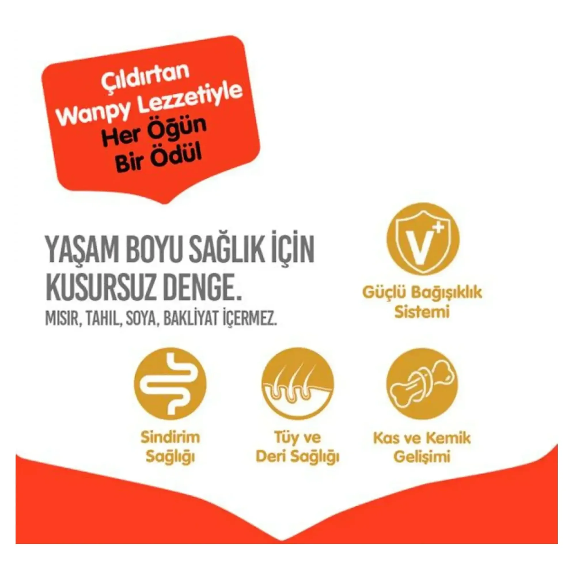 Wanpy Tahılsız Kuzulu Yetişkin Köpek Maması 1.5 KG — Normal, 1.5 kg — Görsel 4