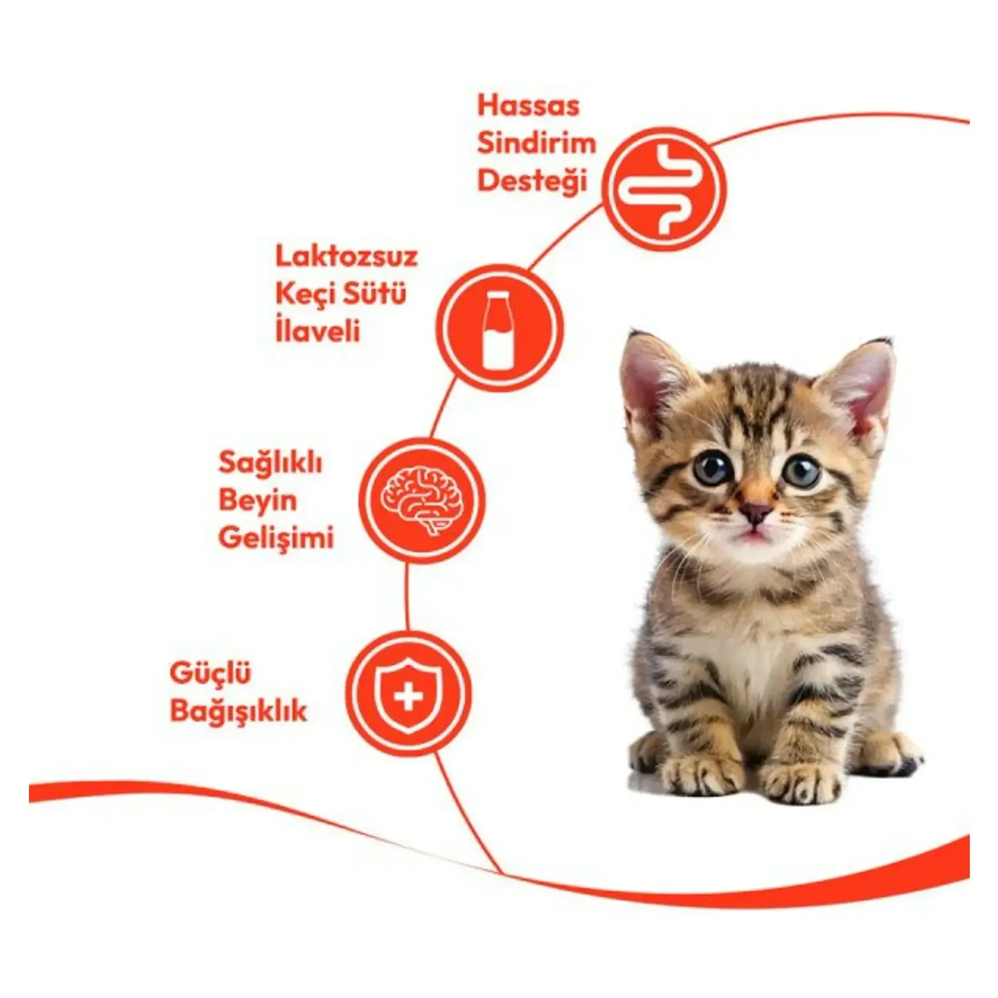 Wanpy Wanpy Tavuk ve Morina Yavru Kedi Krema Ödül Maması 5x14 G — Görsel 4