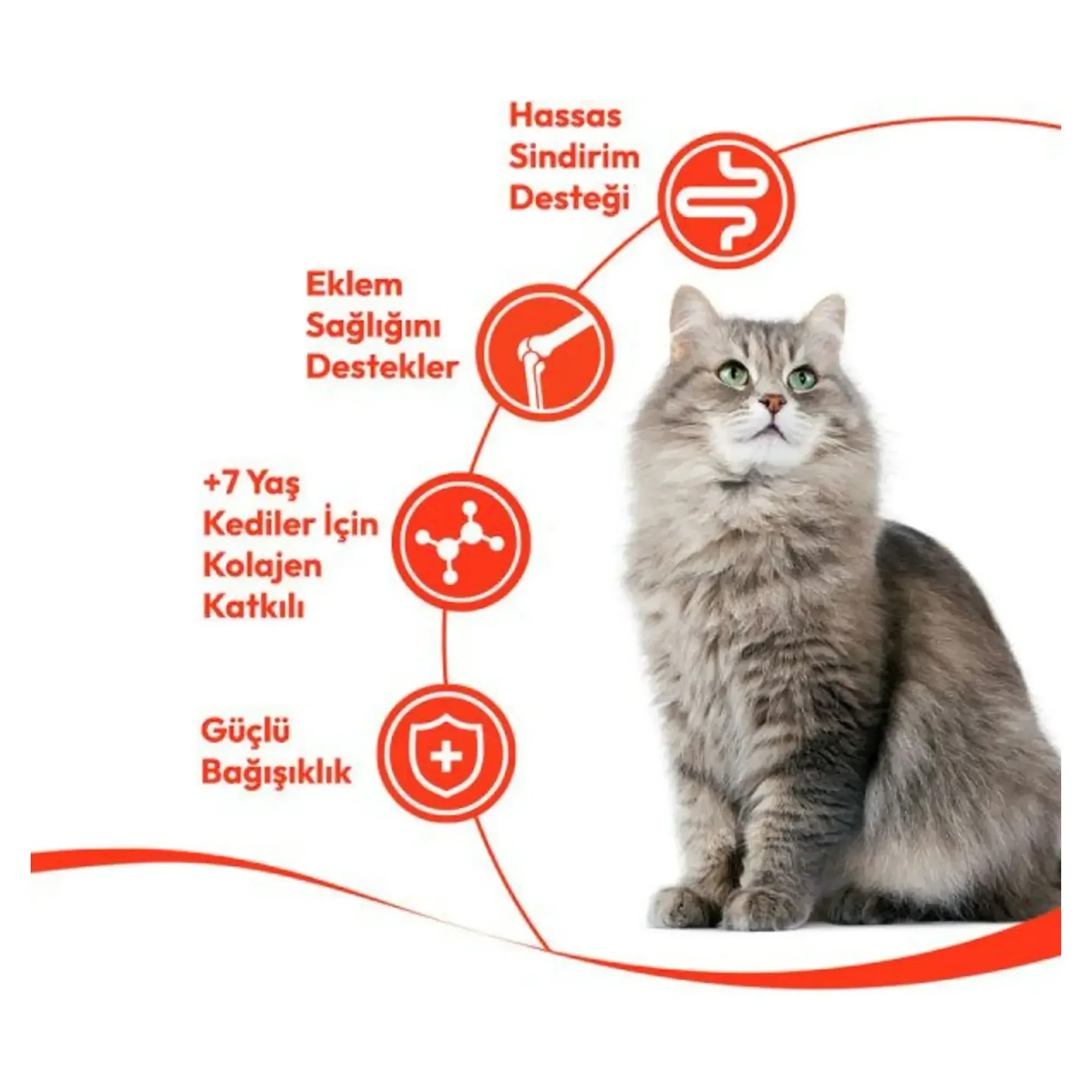 Wanpy Wanpy Ton Balıklı 7+ Yaş Kedi Krema Ödülü 5x14 G — Görsel 3