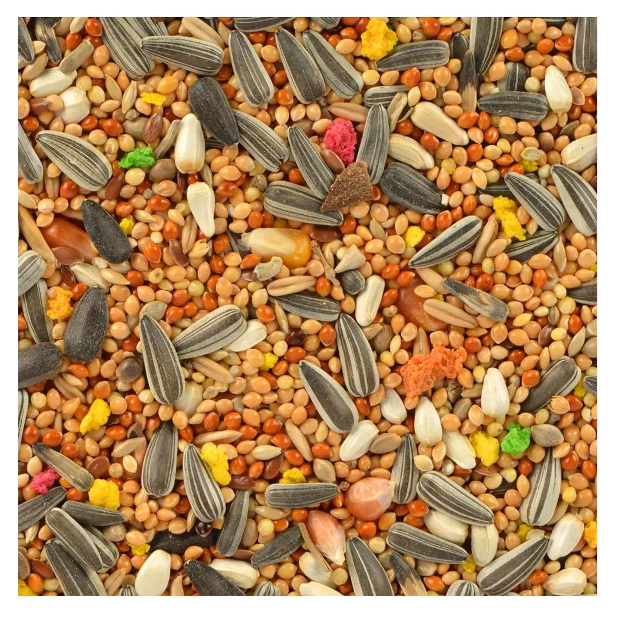 Quik Quik Paraket Yemi 750 G — Papağan Yemleri, 760 g — Görsel 3