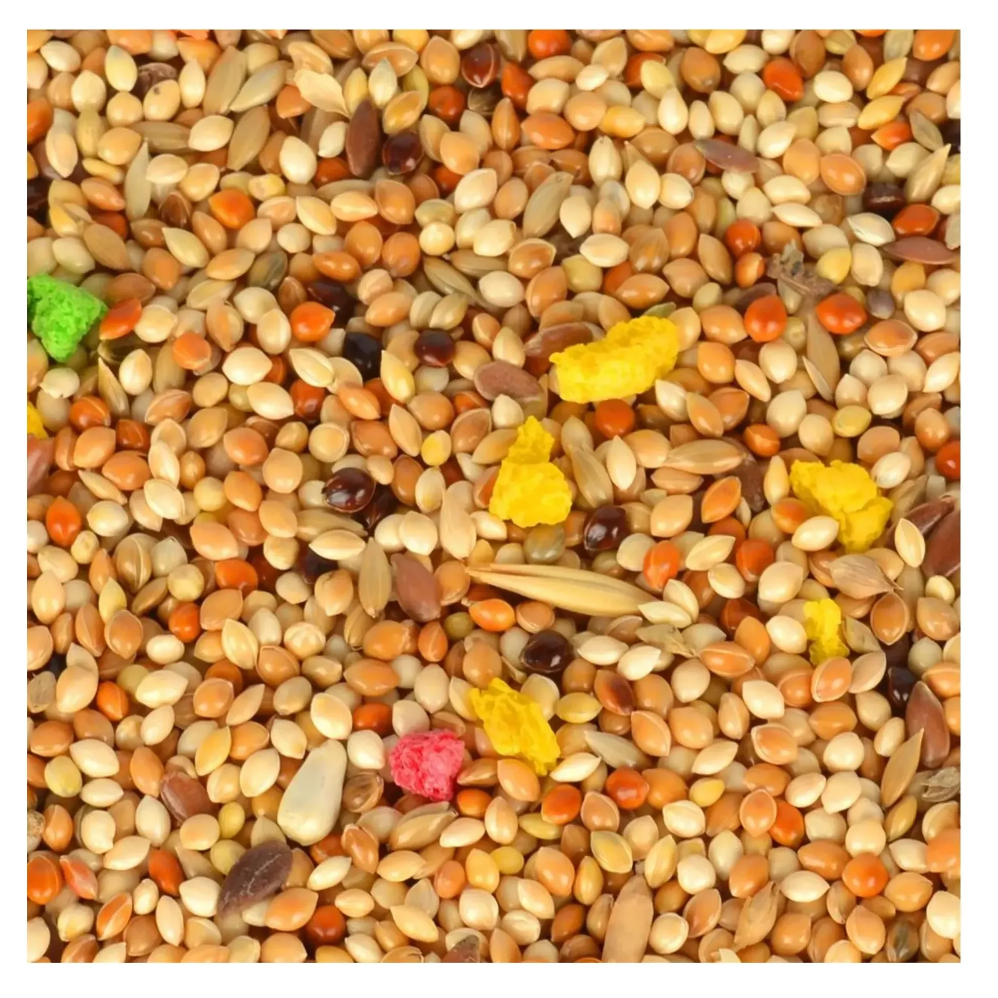 Quik Quik Muhabbet  Kuşu Yemi 400 G — Muhabbet Kuşu Yemleri, 465 g — Görsel 2