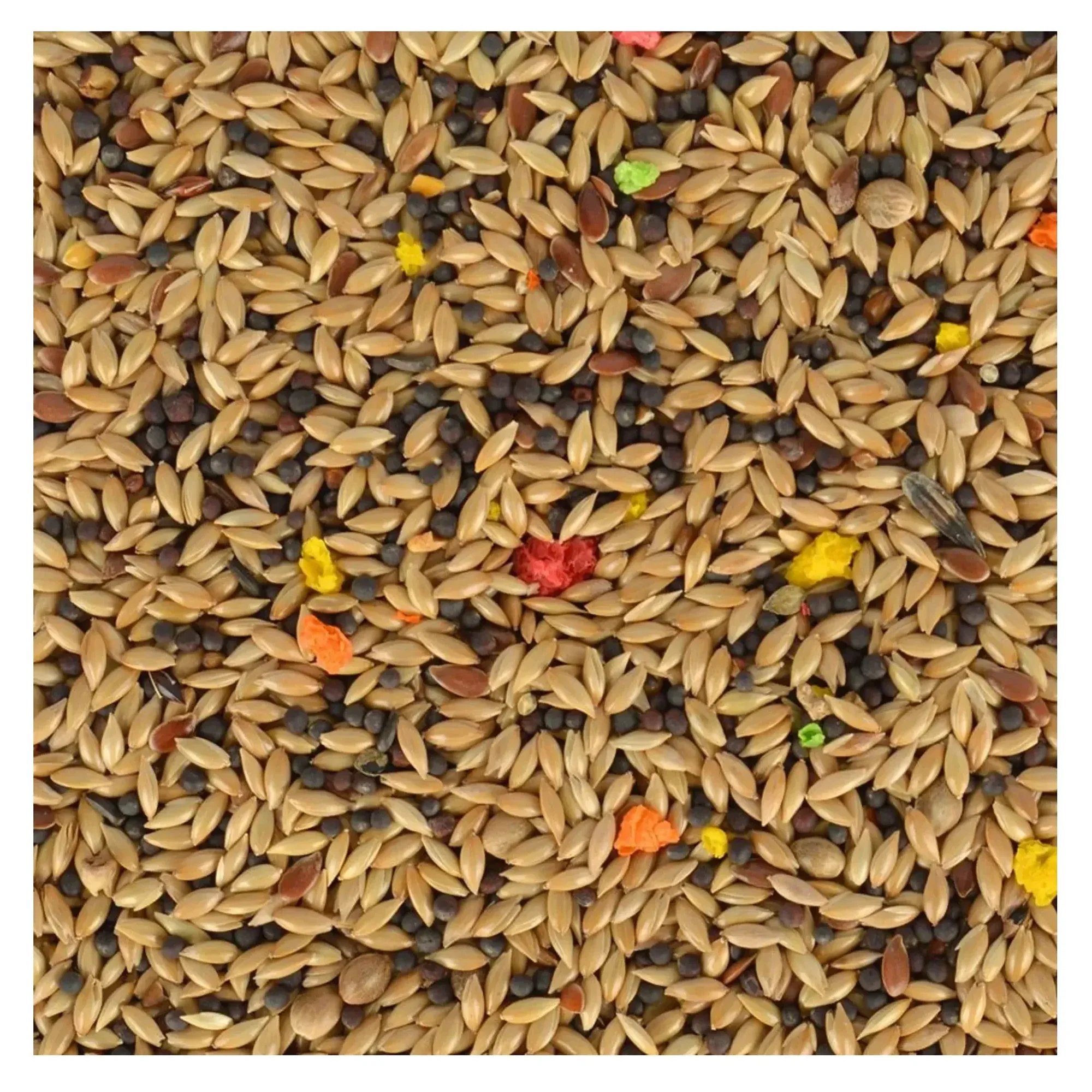 Quik Quik Kanarya Yemi 500 G — Kanarya Yemleri, 500 g — Görsel 3