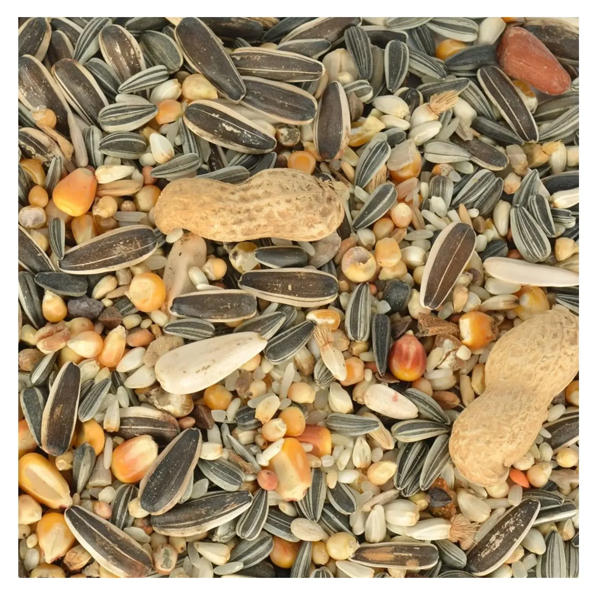 Quik Quik Papağan Yemi 700 G — Papağan Yemleri, 710 g — Görsel 3