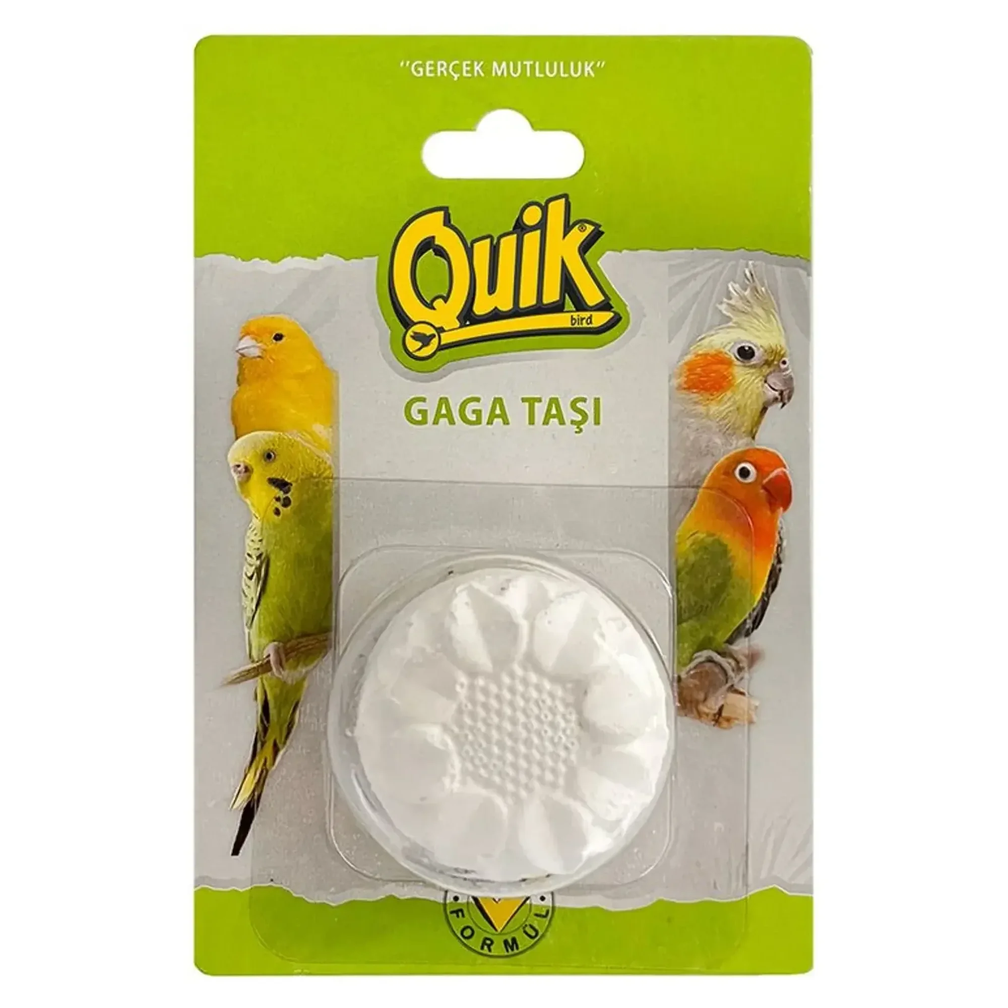 Quik Gaga Taşı 