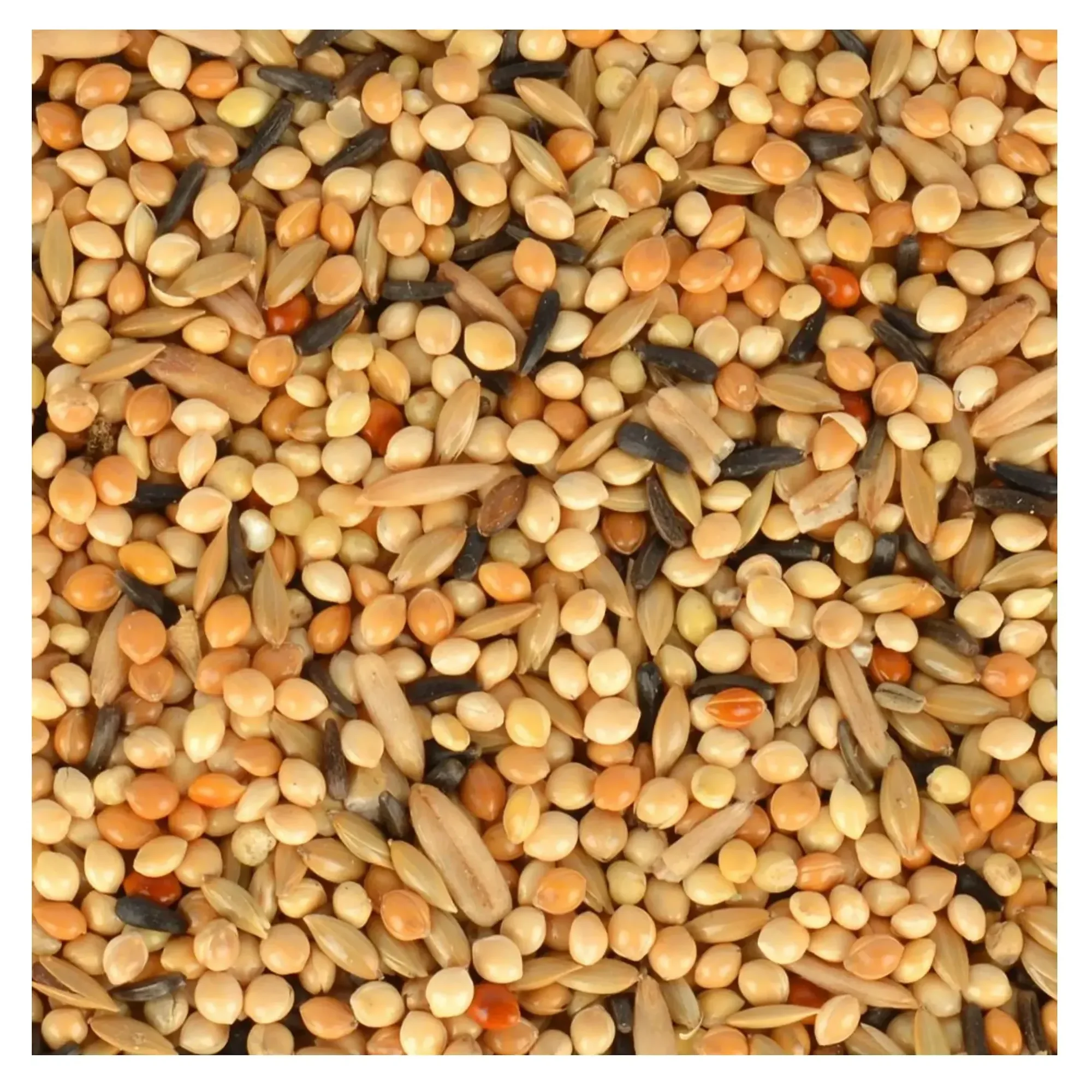 Quik Quik Junior Yavru Muhabbet Yemi 400 G — Muhabbet Kuşu Yemleri, 410 g — Görsel 3