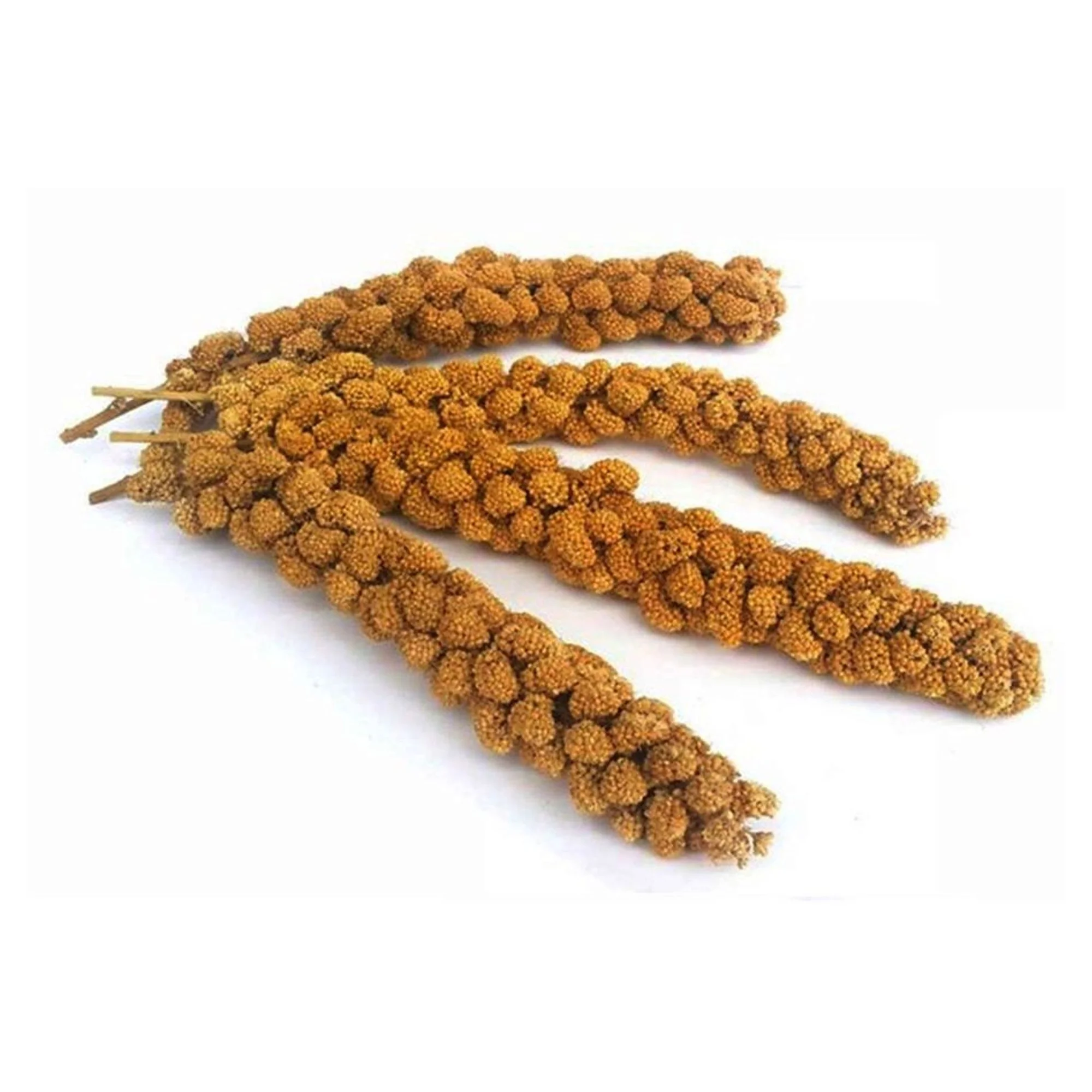 Quik Quik Doğal Dal Darı 1 Adet — Ödül & Atıştırmalıklar, 50 g — Görsel 4