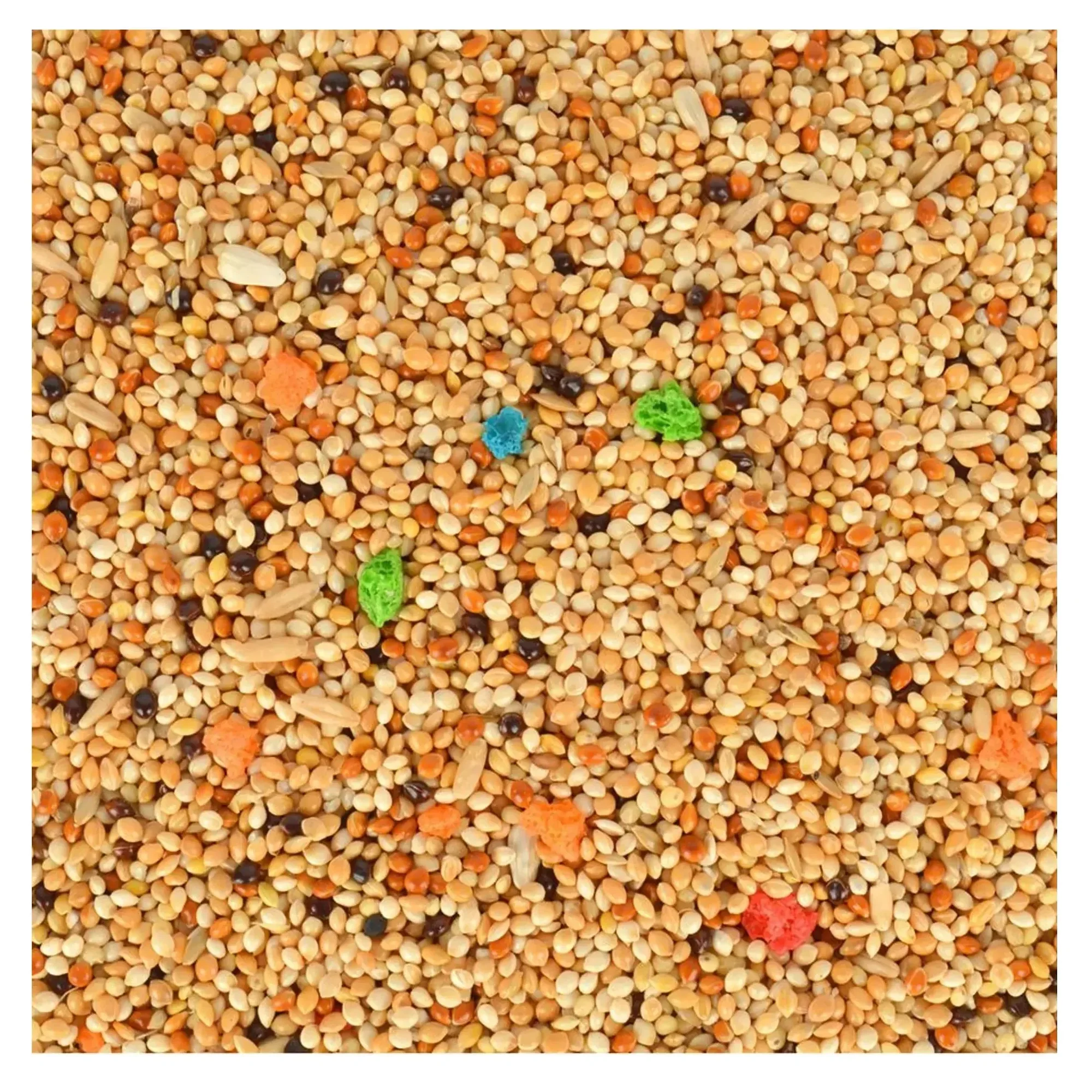 Quik Quik Muhabbet Yemi 750+250 G — Muhabbet Kuşu Yemleri, 1 kg — Görsel 2