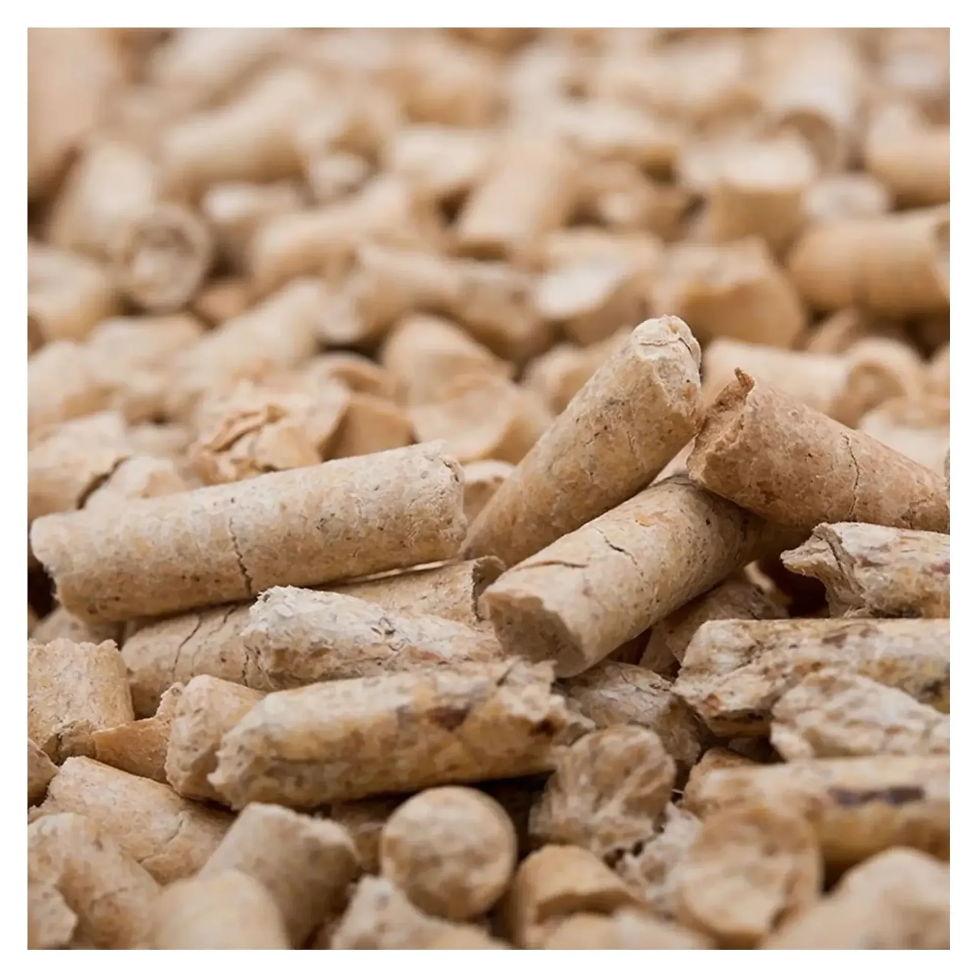 Quik Çam Pellet Kedi Kumu 15 KG — Bentonit Kedi Kumu — Görsel 2