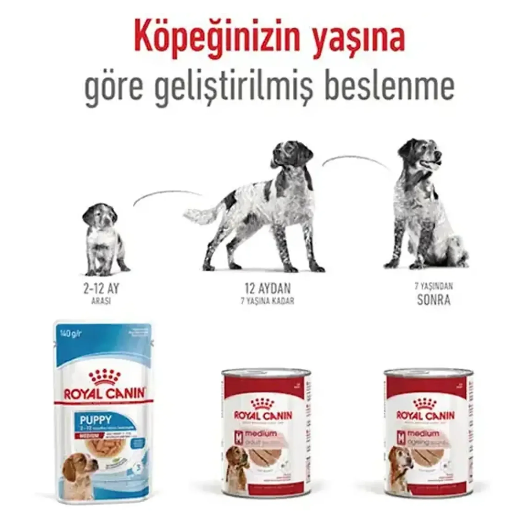 Royal Canin Royal Canin Orta Irk Konserve Yetişkin Köpek Maması 410 G — Normal, 420 g — Görsel 4