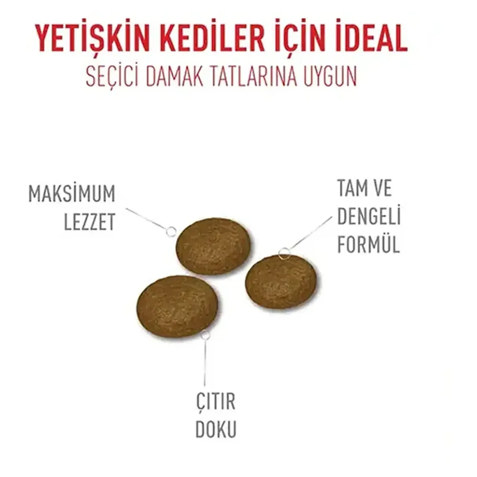 Royal Canin Royal Canin Fussy Cat Seçici Kediler İçin Yetişkin Kedi Maması 2 KG — Normal, 2 kg — Görsel 2