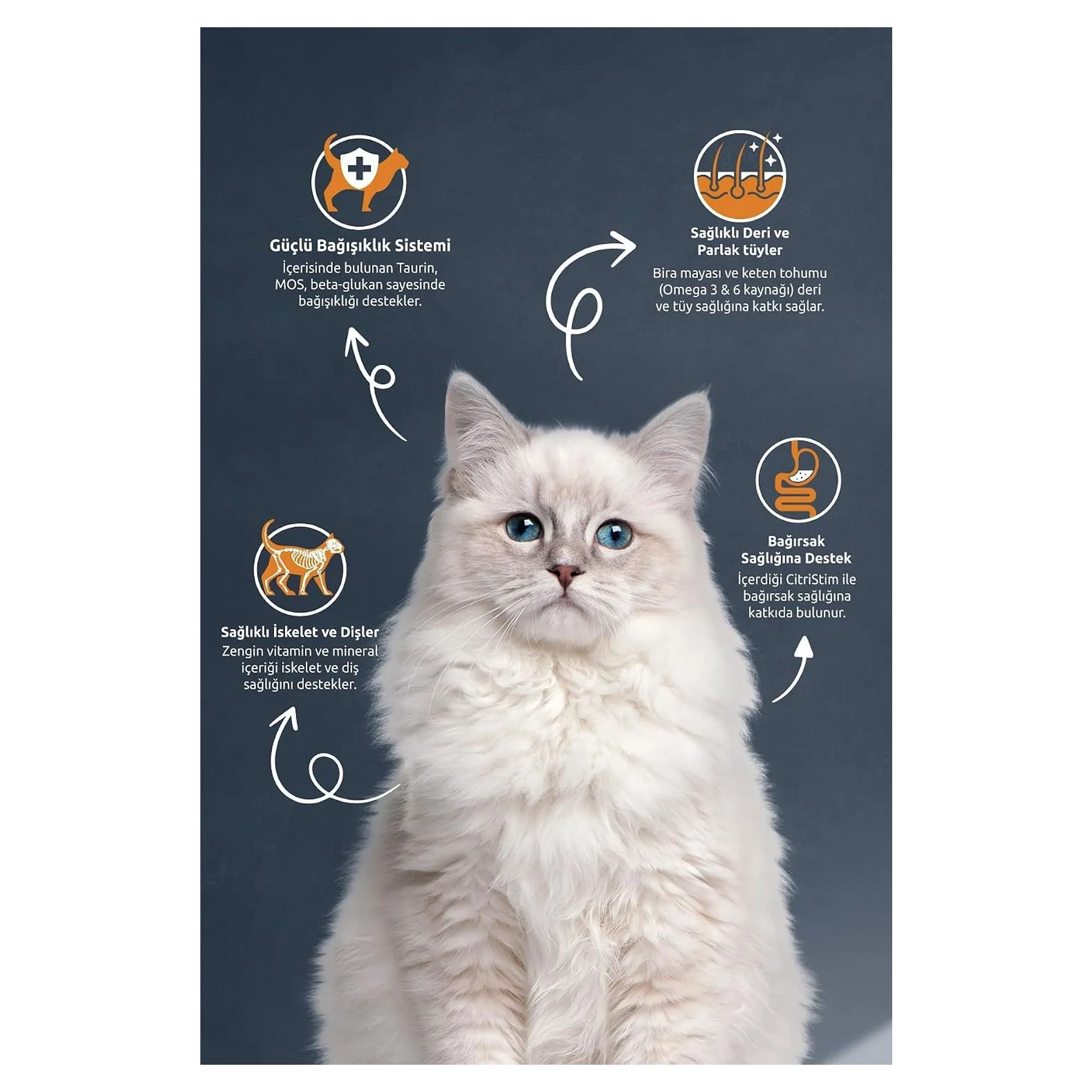 Reflex Somonlu & Hamsili Yetişkin Kedi Maması 2KG — Normal — Görsel 2