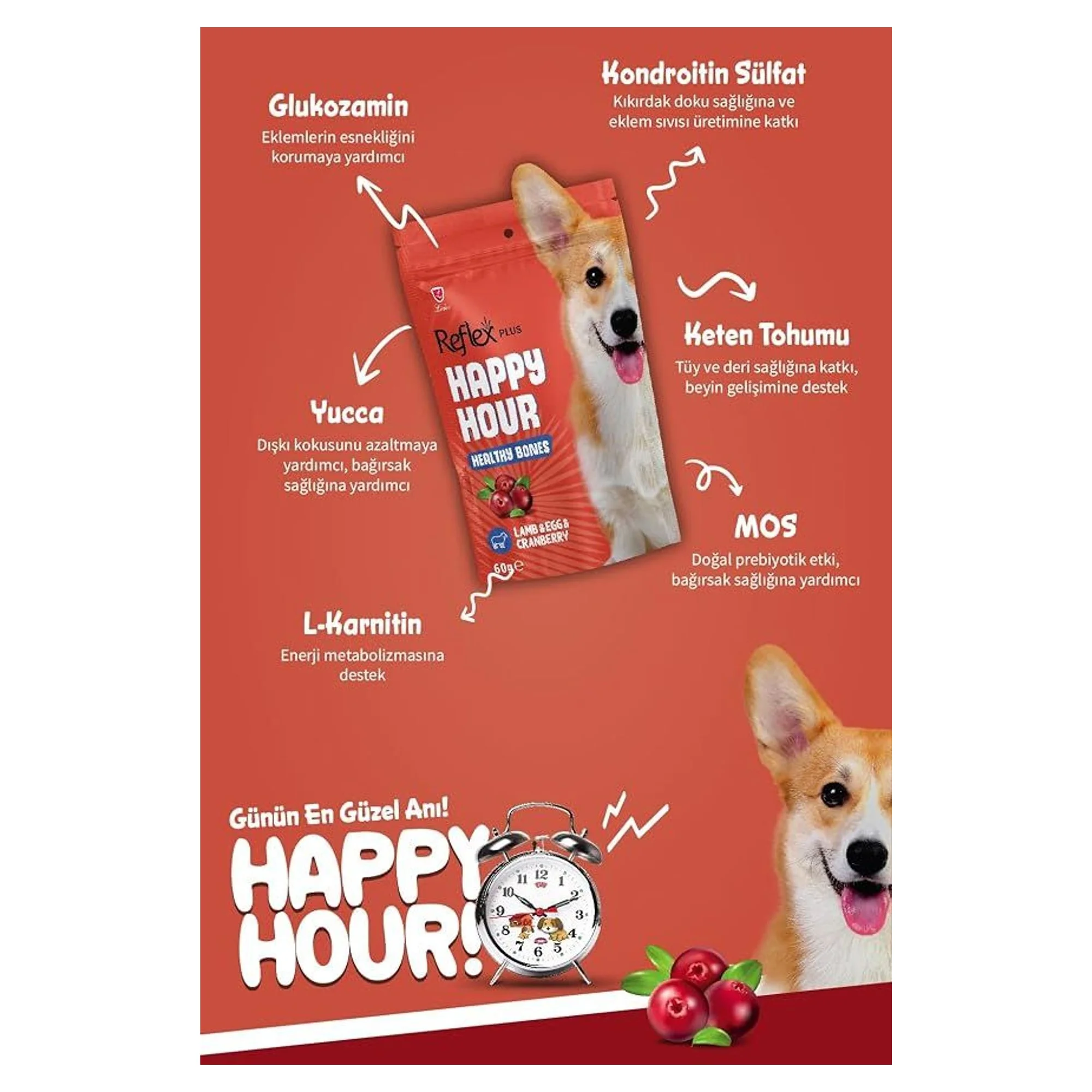 Reflex Happy Hour Sağlıklı Kemikler İçin Destekleyici Köpek Ödül Maması 60G — Yarı Yumuşak — Görsel 3