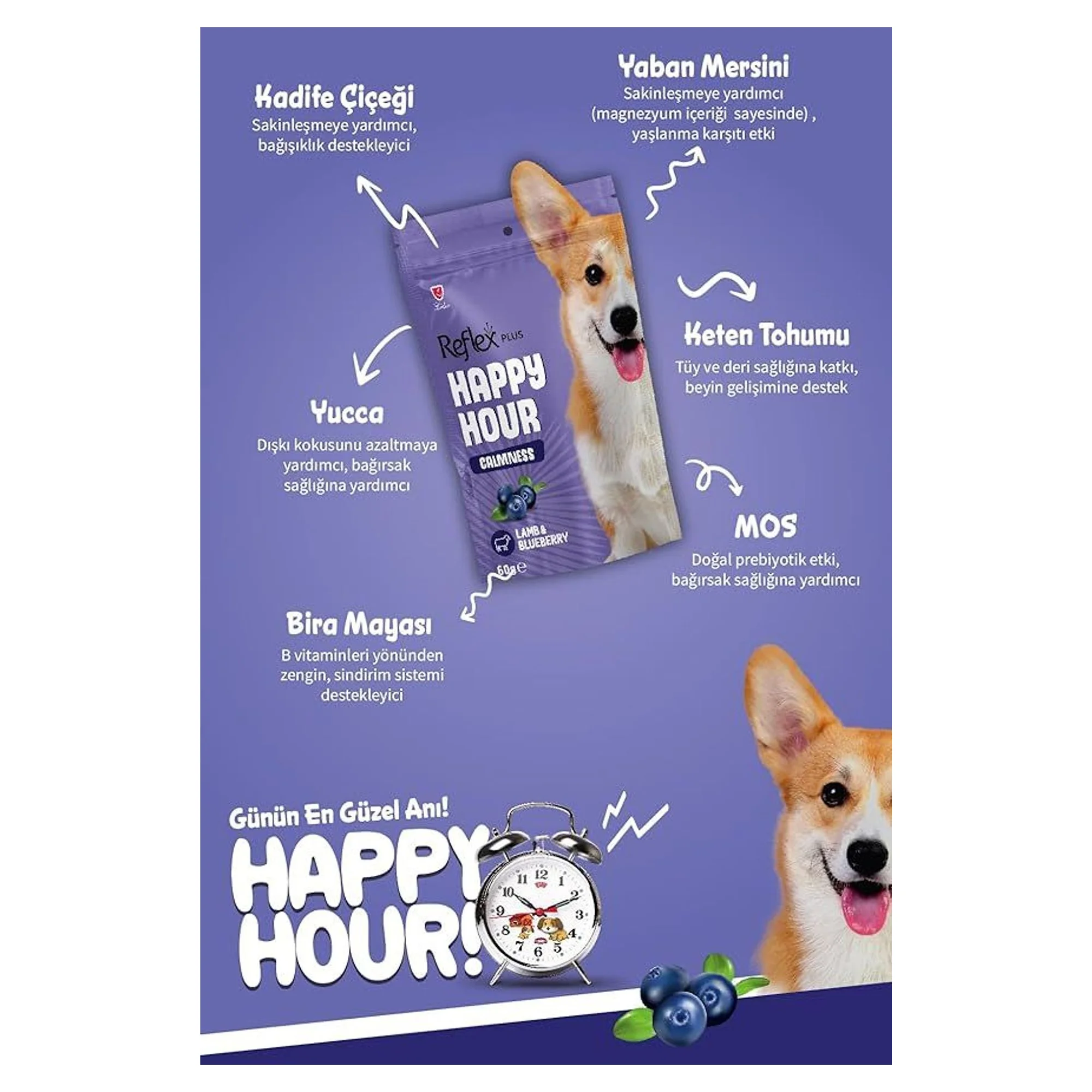 Reflex Happy Hour Sakinleşmeyi Destekleyici Köpek Ödül Maması 60G — Yarı Yumuşak — Görsel 3