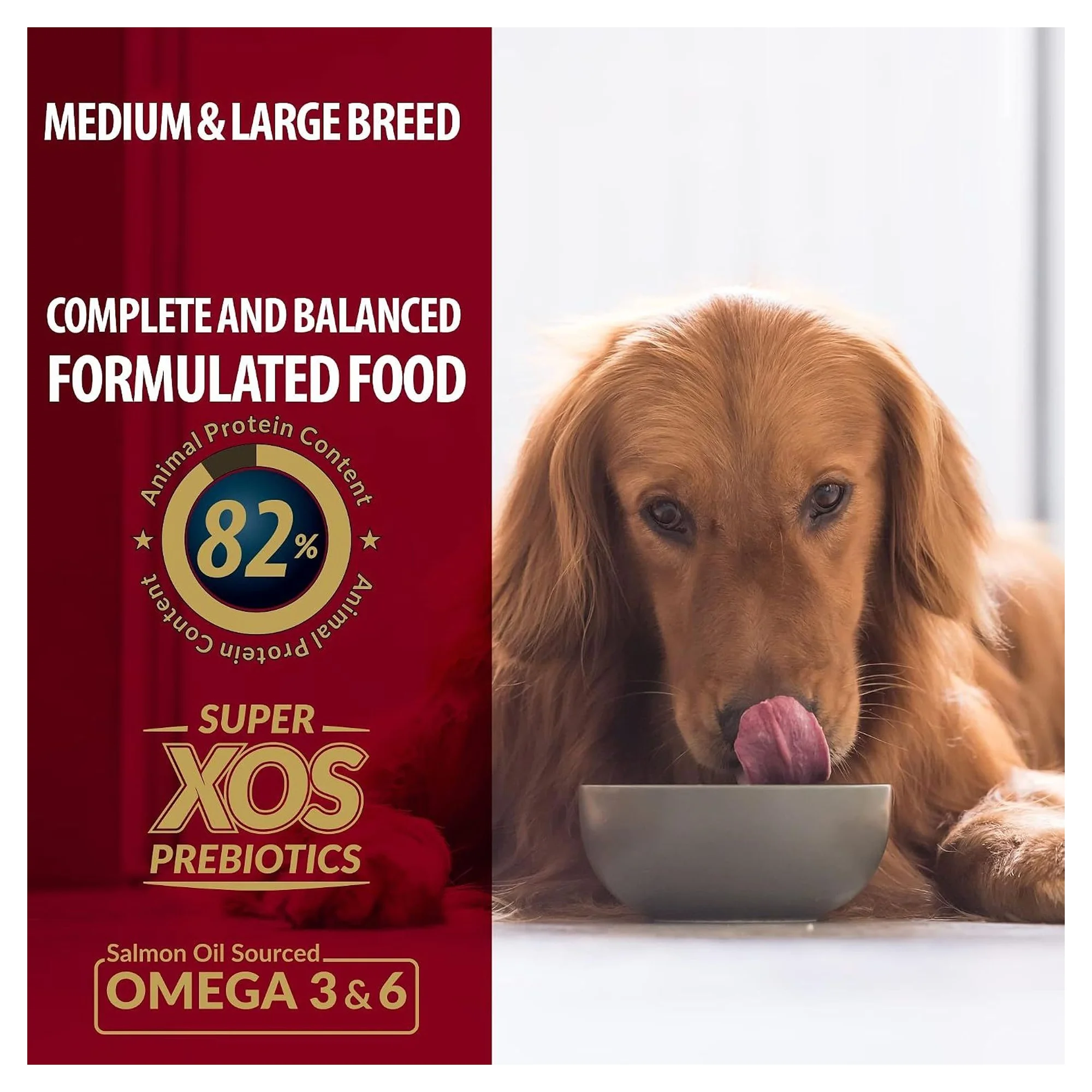 Reflex Plus Kuzulu Medium&Large Yetişkin Köpek Kuru Maması 3 KG — Normal, 3.1 kg — Görsel 2
