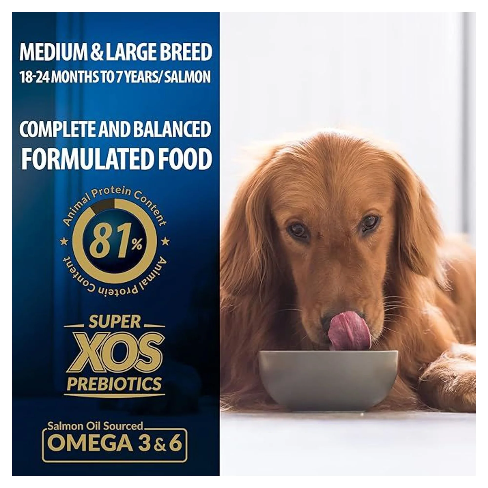 Reflex Plus Somonlu Medium&Large Yetişkin Köpek Kuru Maması 3 KG — Ödül Maması, 3.1 kg — Görsel 2