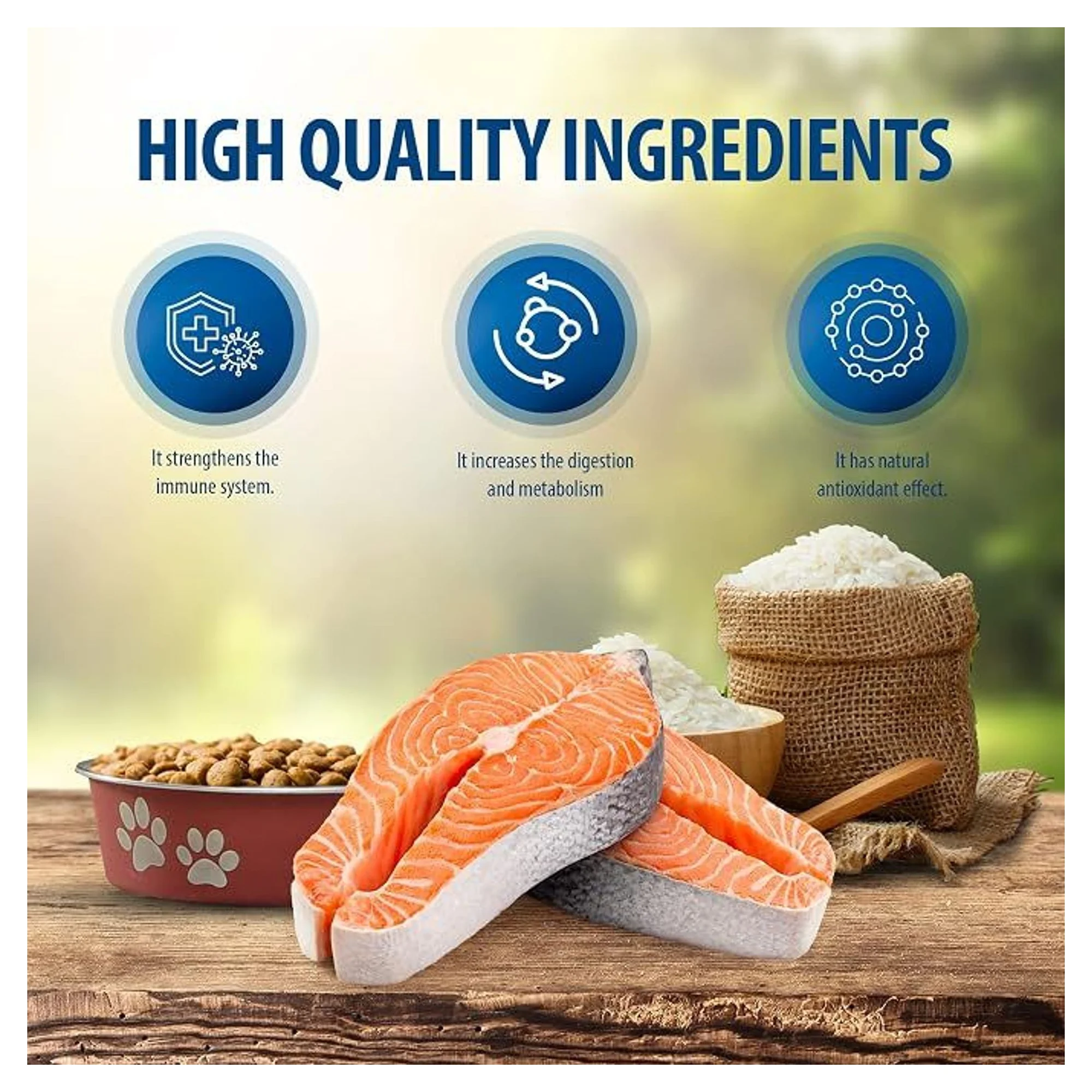 Reflex Plus Somonlu Medium&Large Yetişkin Köpek Kuru Maması 3 KG — Ödül Maması, 3.1 kg — Görsel 3