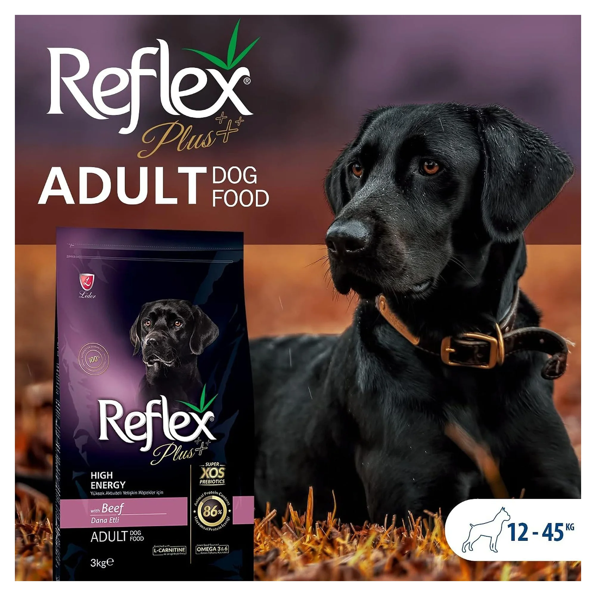 Reflex Plus Kuzulu High Energy Yetişkin Köpek Kuru Maması 3 KG — Normal, 3 kg — Görsel 4