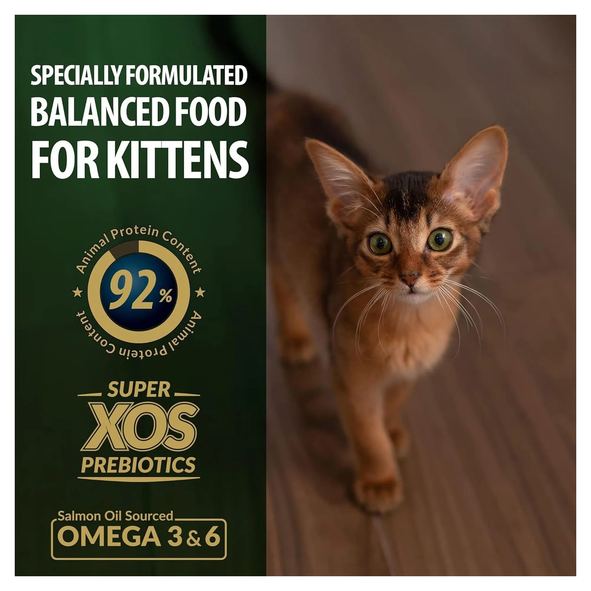 Reflex Plus Tavuklu Yavru Kedi Kuru Maması 1.5 KG — Normal, 2 kg — Görsel 2