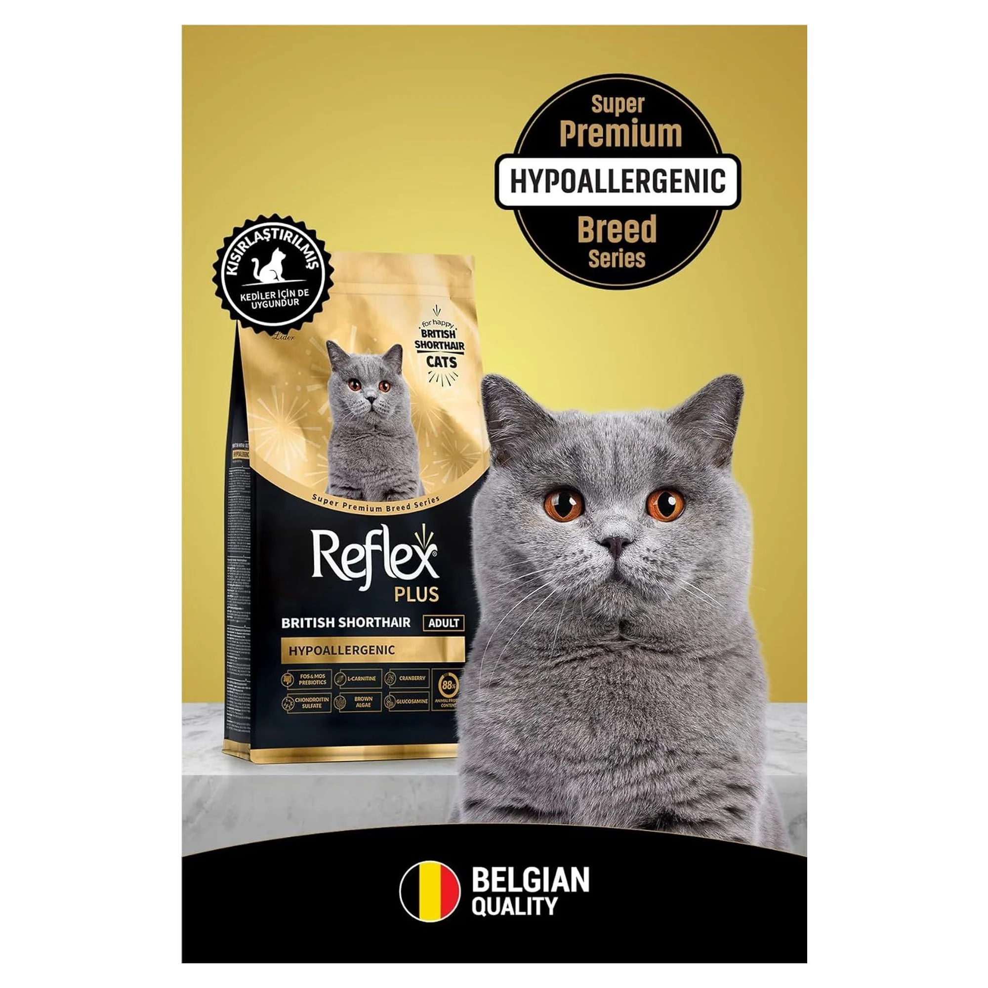 Reflex Plus British Shorthair Yetişkin Kedi Maması 1.5 KG — Normal, 1.6 kg — Görsel 2