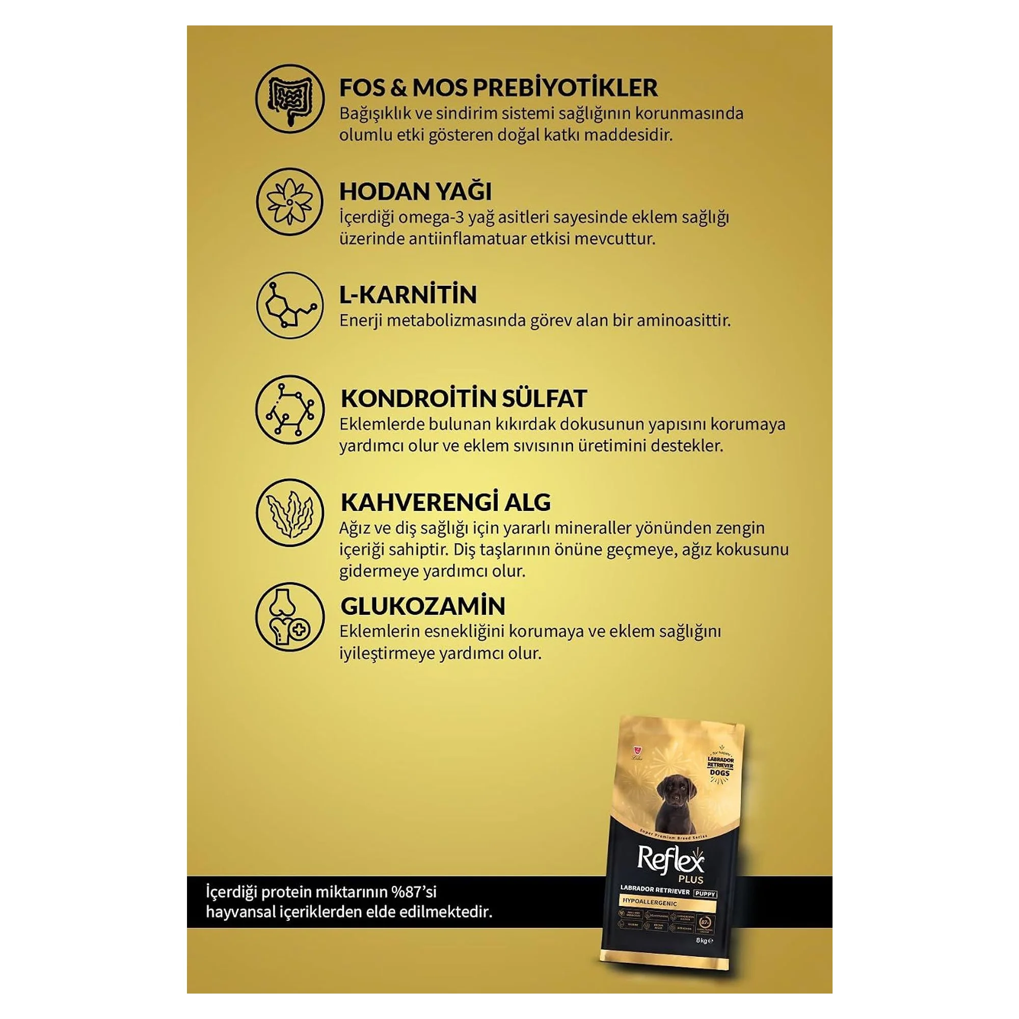 Reflex Plus Hipoalerjenik Labrador Retriever Yavru Köpek Maması 8 KG — Normal, 8.1 kg — Görsel 4