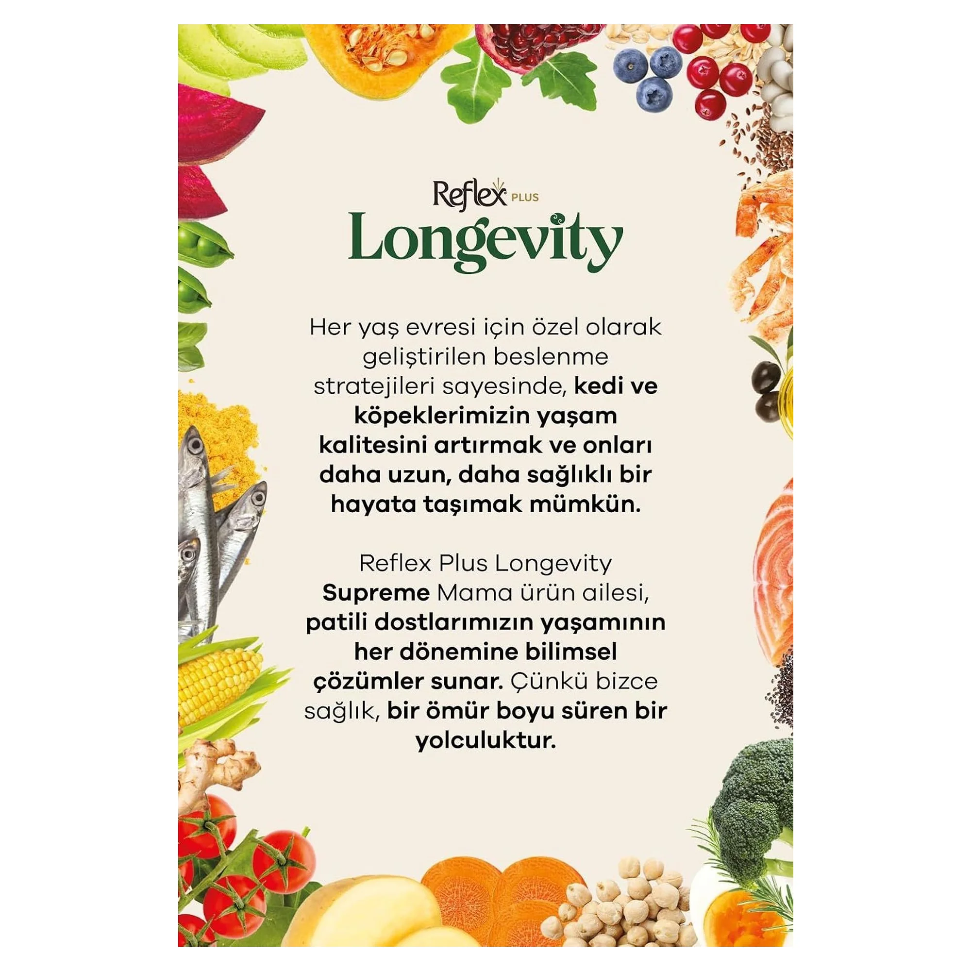 Reflex Plus Longevity Hipoalerjenik Orta ve Büyük Irk Yetişkin Köpek Maması 2.7 KG — Normal, 2.8 kg — Görsel 6