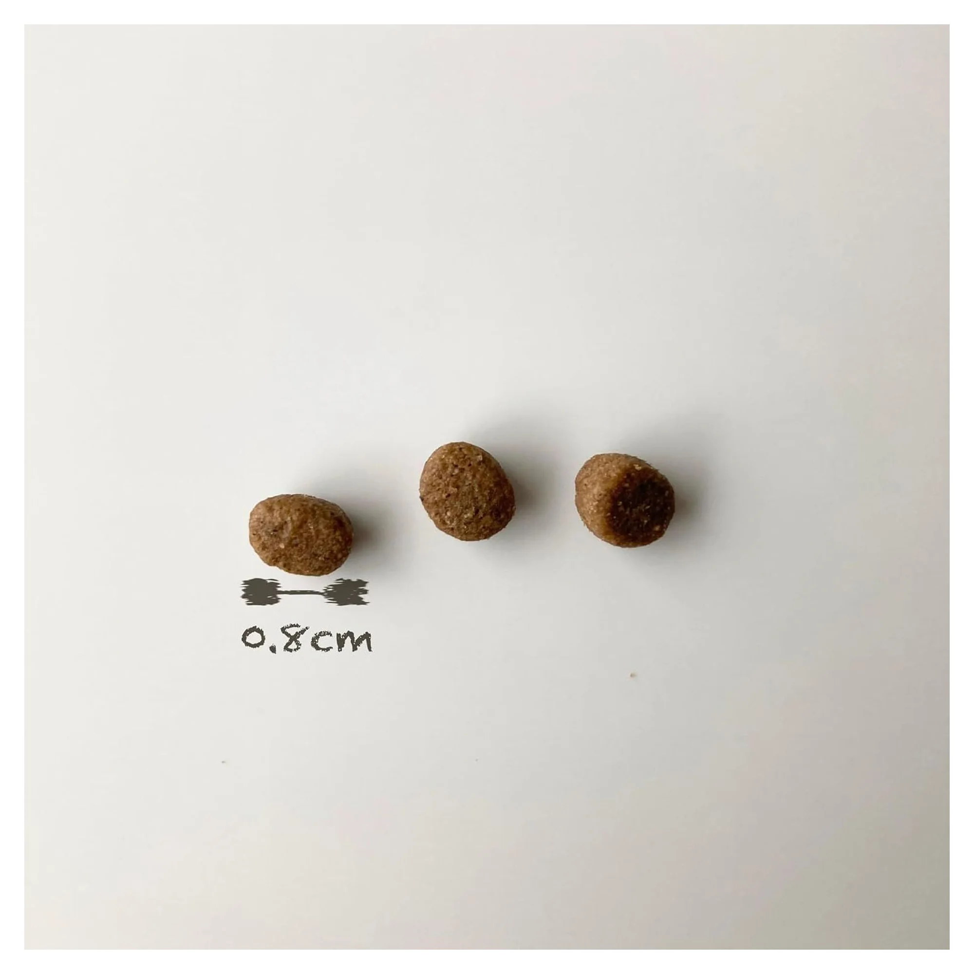 Spectrum Low Grain Kuzu Etli ve Yaban Mersini Küçük Irk Yetişkin Köpek Maması 2.5 KG — Normal, 2.5 kg — Görsel 3