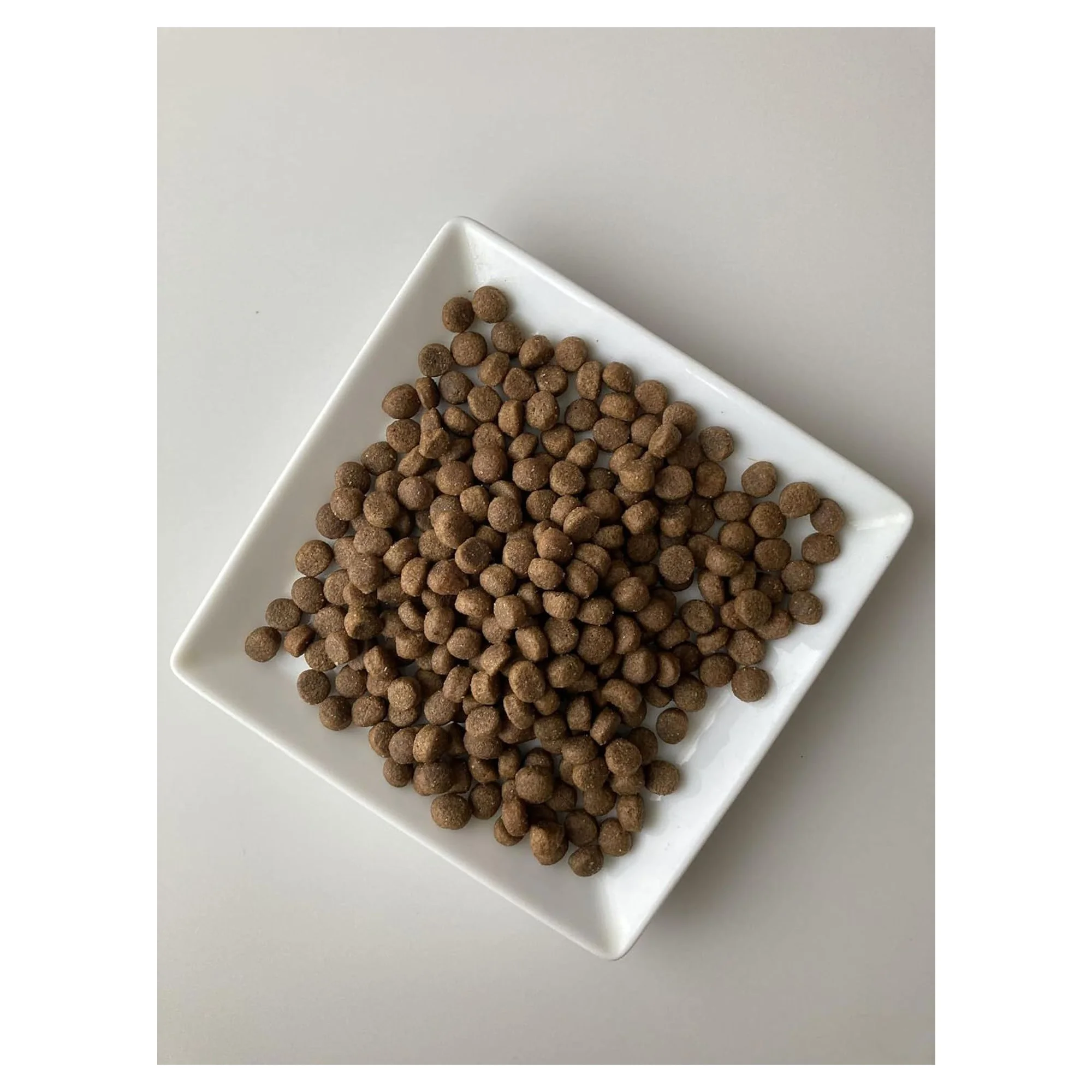 Spectrum Low Grain Kuzu Etli Yaban Mersinli Küçük Irk Yetişkin Köpek Maması 8 KG — Normal, 8.2 kg — Görsel 2