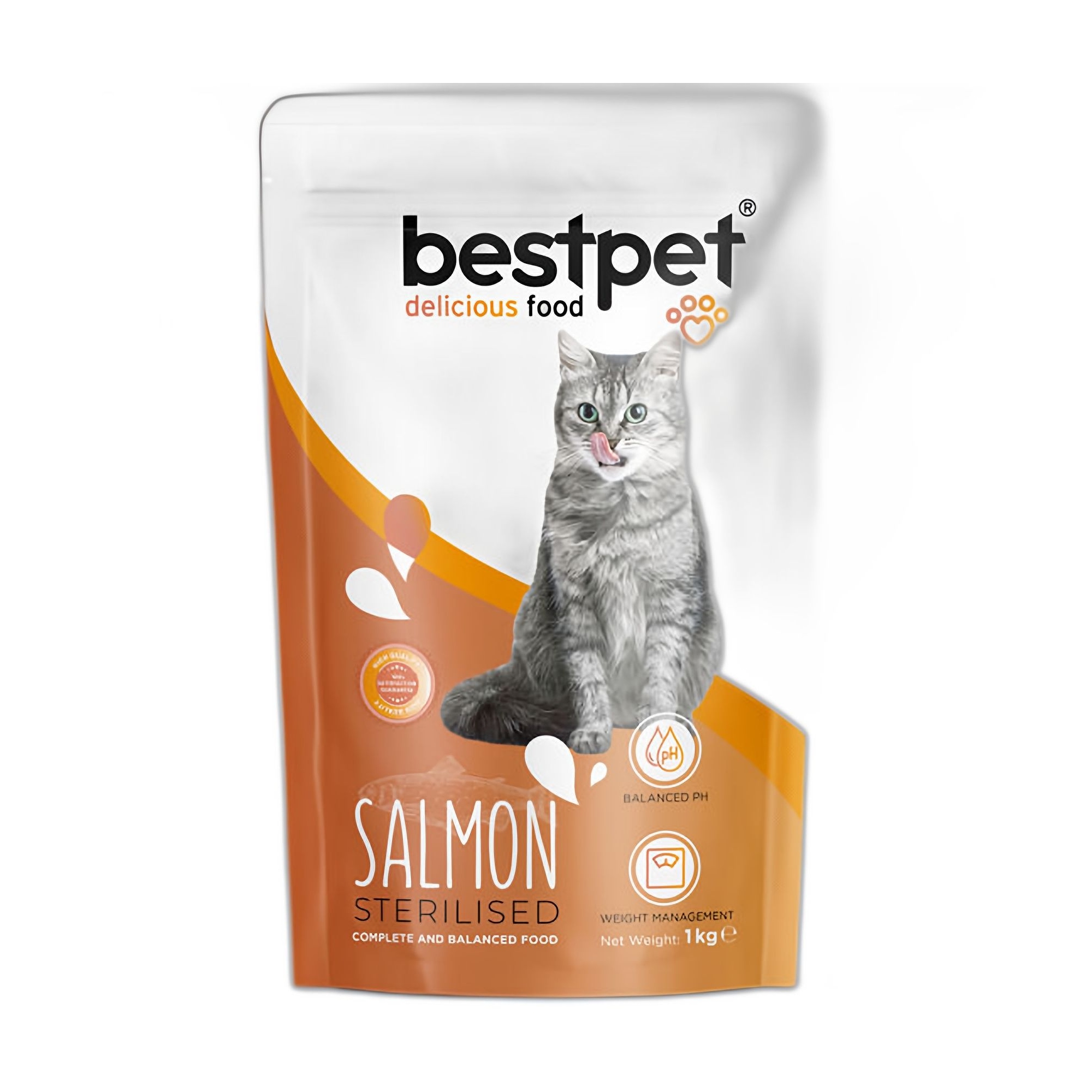 Bestpet Sterilised Somonlu Kısırlaştırılmış Yetişkin Kedi Maması 1 KG - Ana Görsel