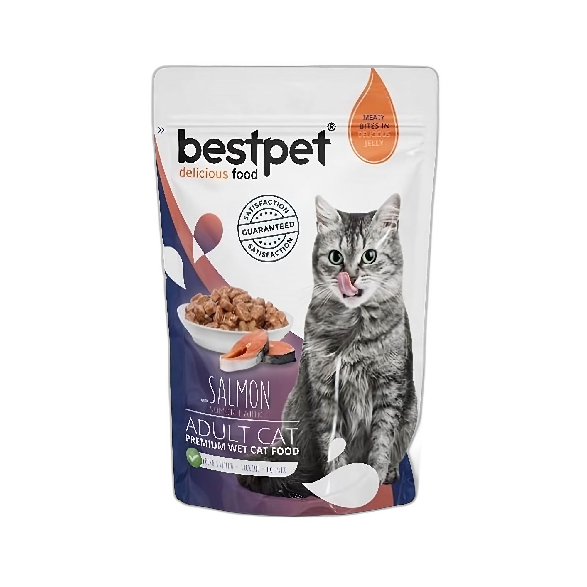 Bestpet Salmon in Jelly Somonlu Yaş Yetişkin Maması 85G - Ana Görsel