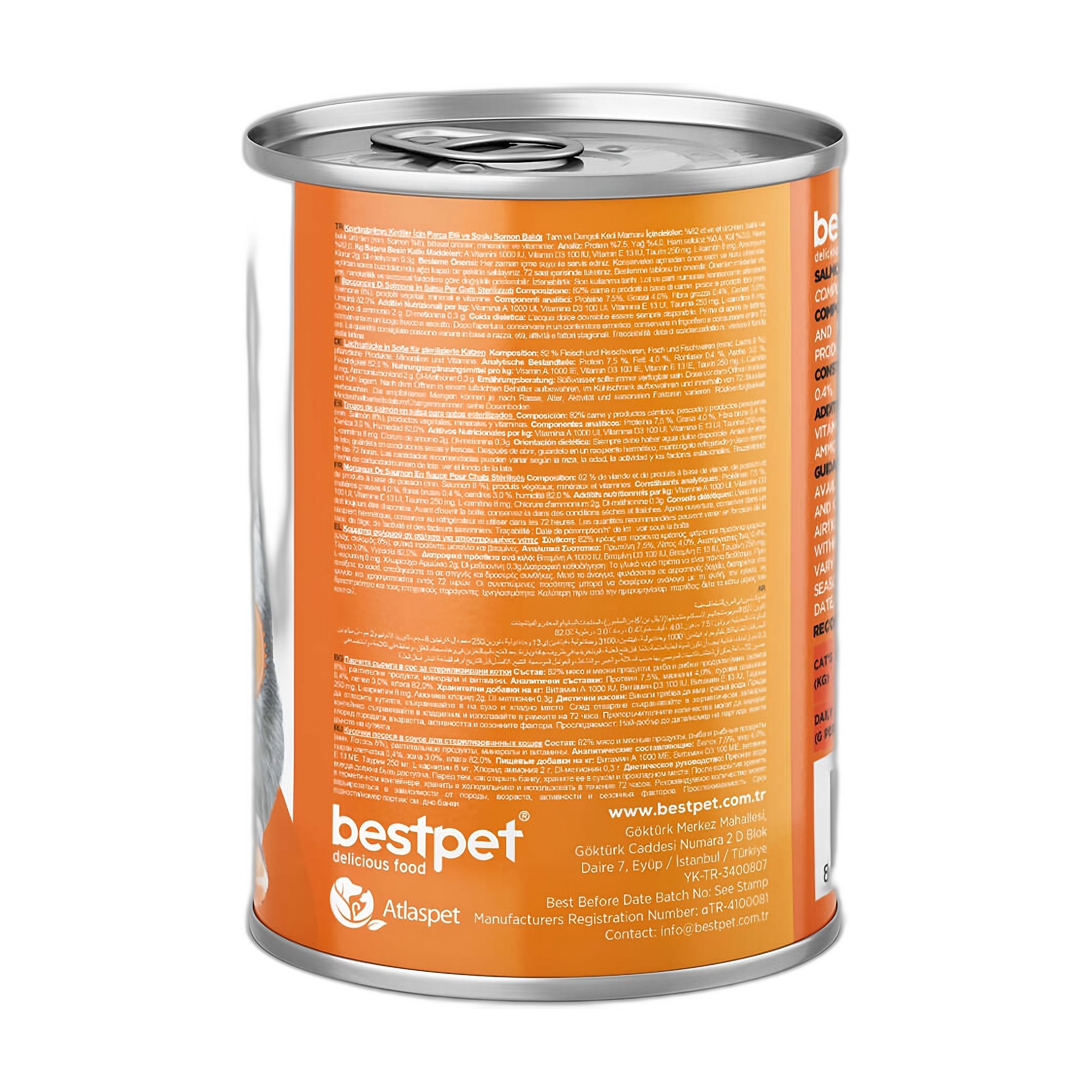 Bestpet Gravy Parça Somonlu Yetişkin Kedi Konservesi 400 G - Görsel 3