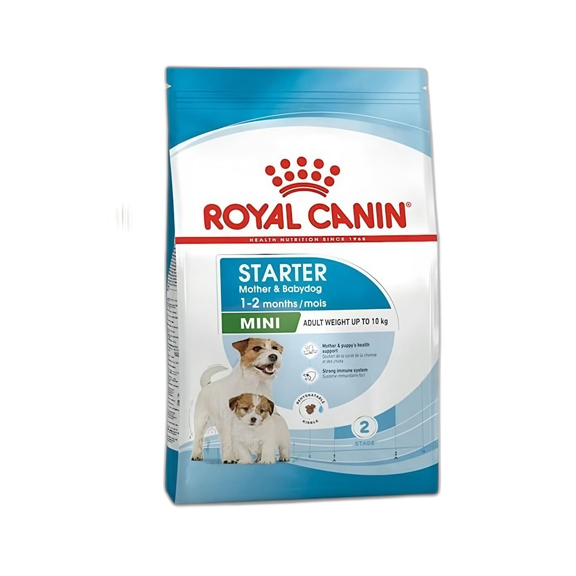 Royal Canin Mini Starter Anne ve Yavru Köpek Maması 1 KG